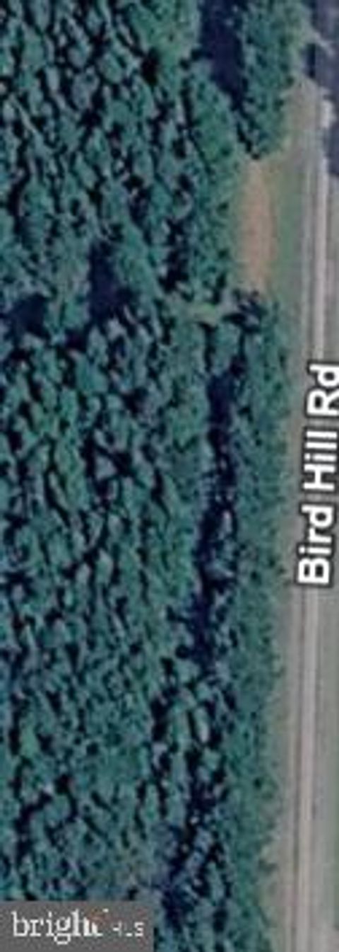 0 BIRD HILL ROAD STOCKTON MD 21864