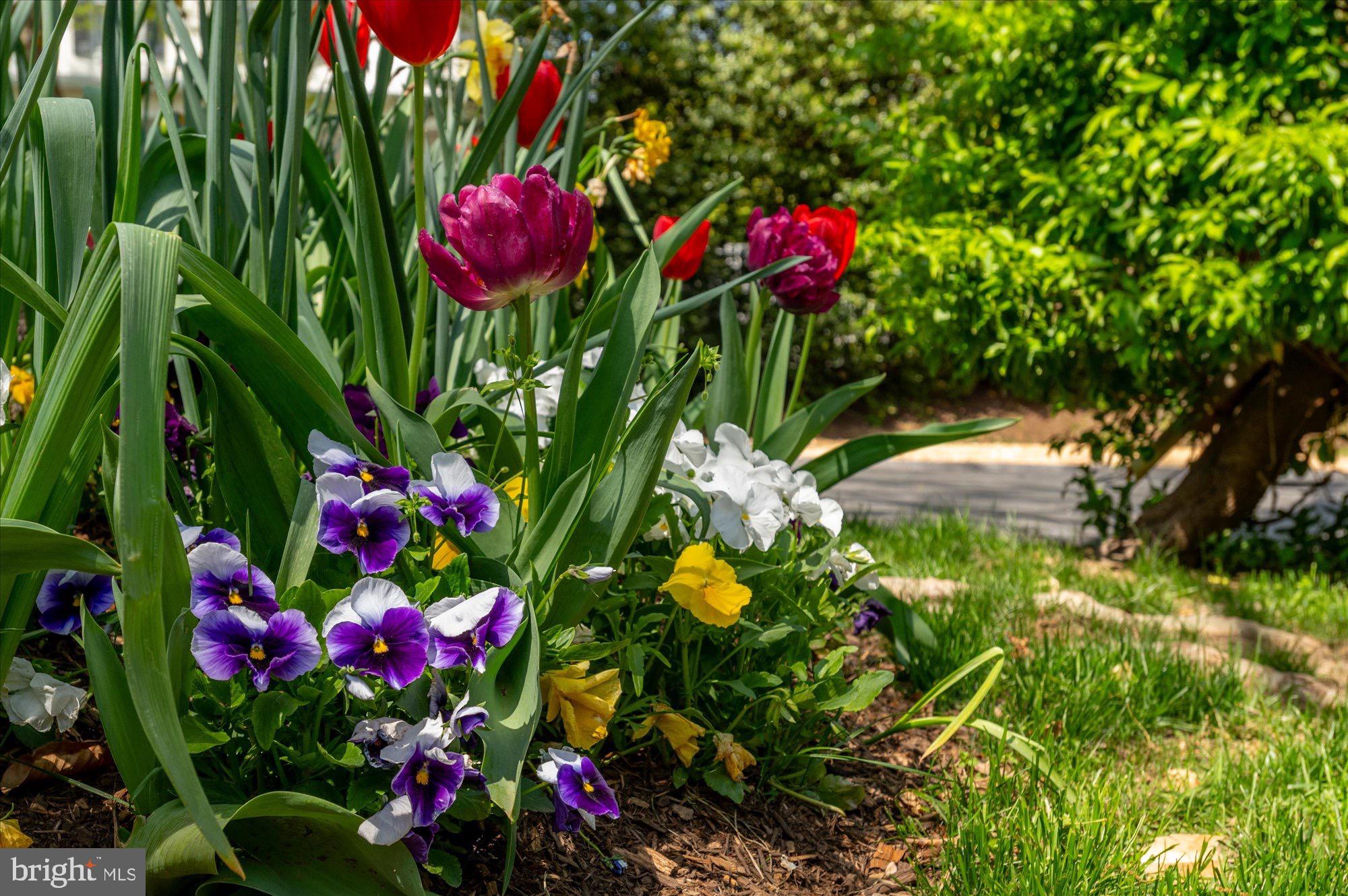 CLEVELAND PARK - Residential