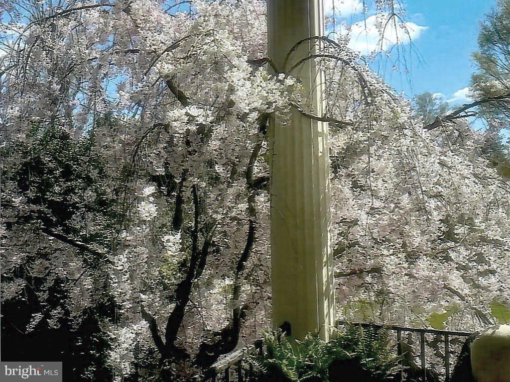 CLEVELAND PARK - Residential