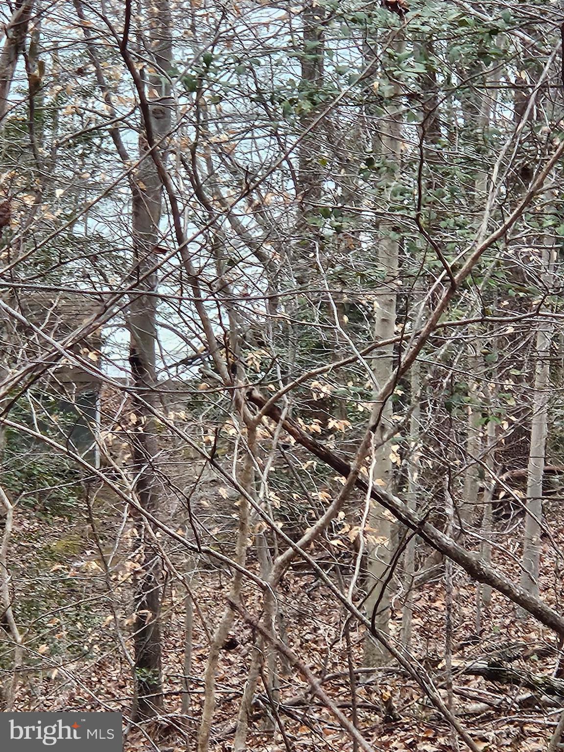 GREENPOINT LANDING - Land