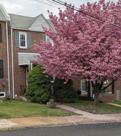 BAYARD SQUARE - Residential
