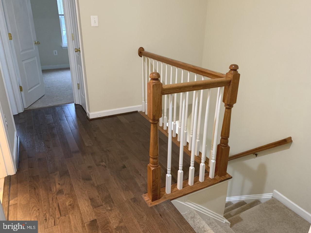 BELMONT BAY - Residential Lease