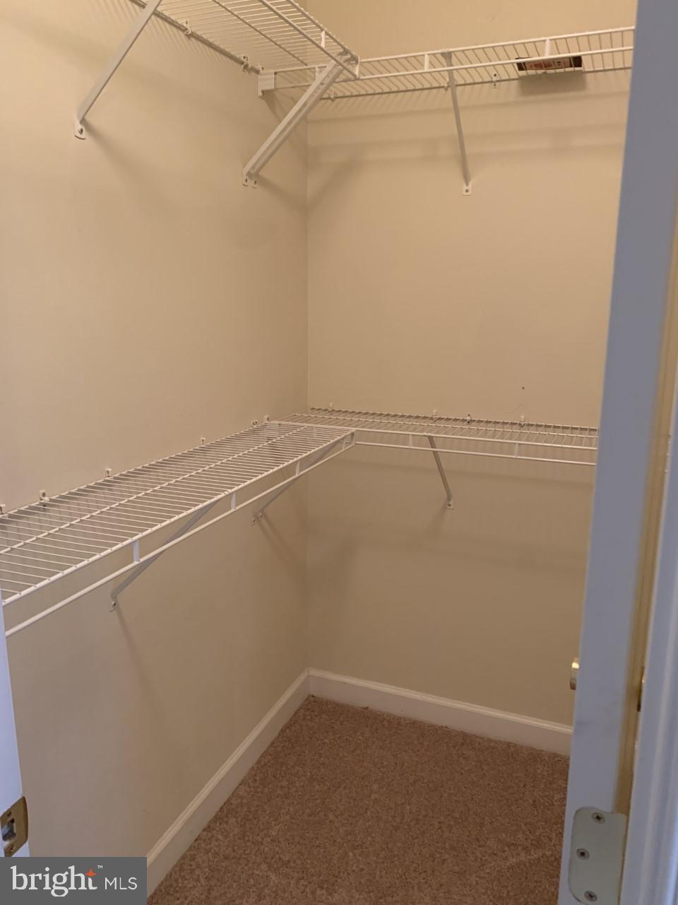 BELMONT BAY - Residential Lease