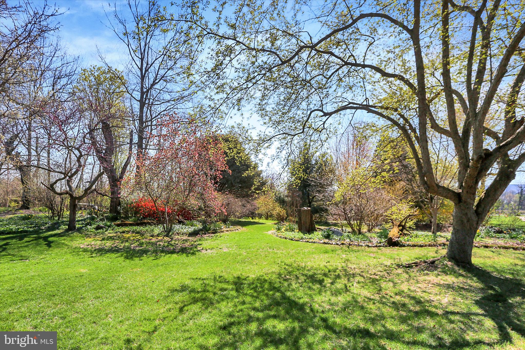 HALLWOOD HEIGHTS - Residential