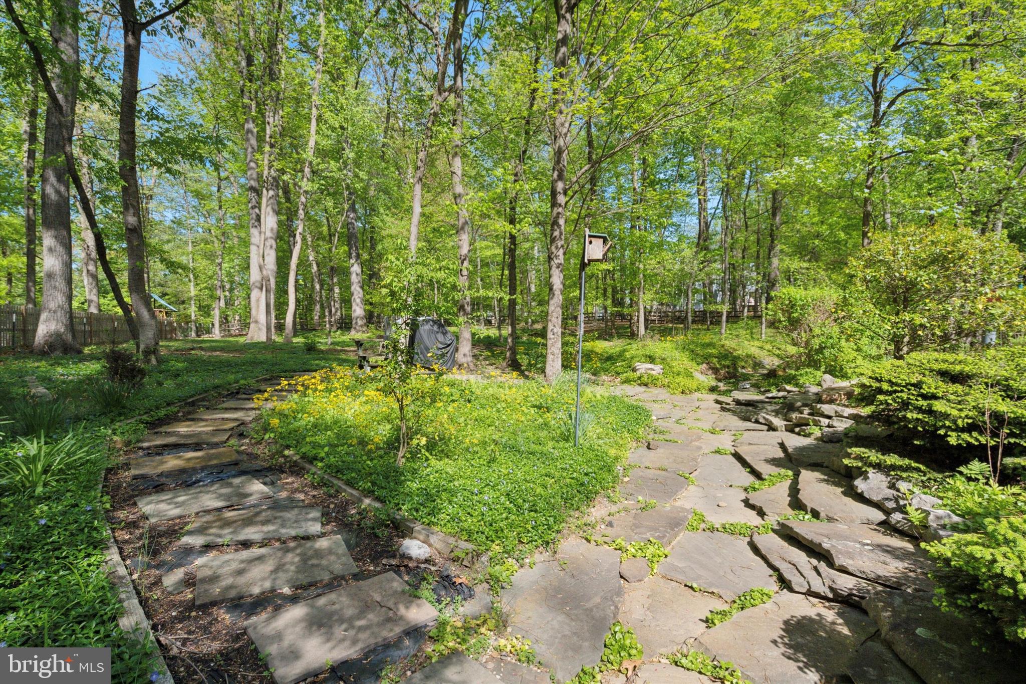 597 TANGLEWOOD LANE