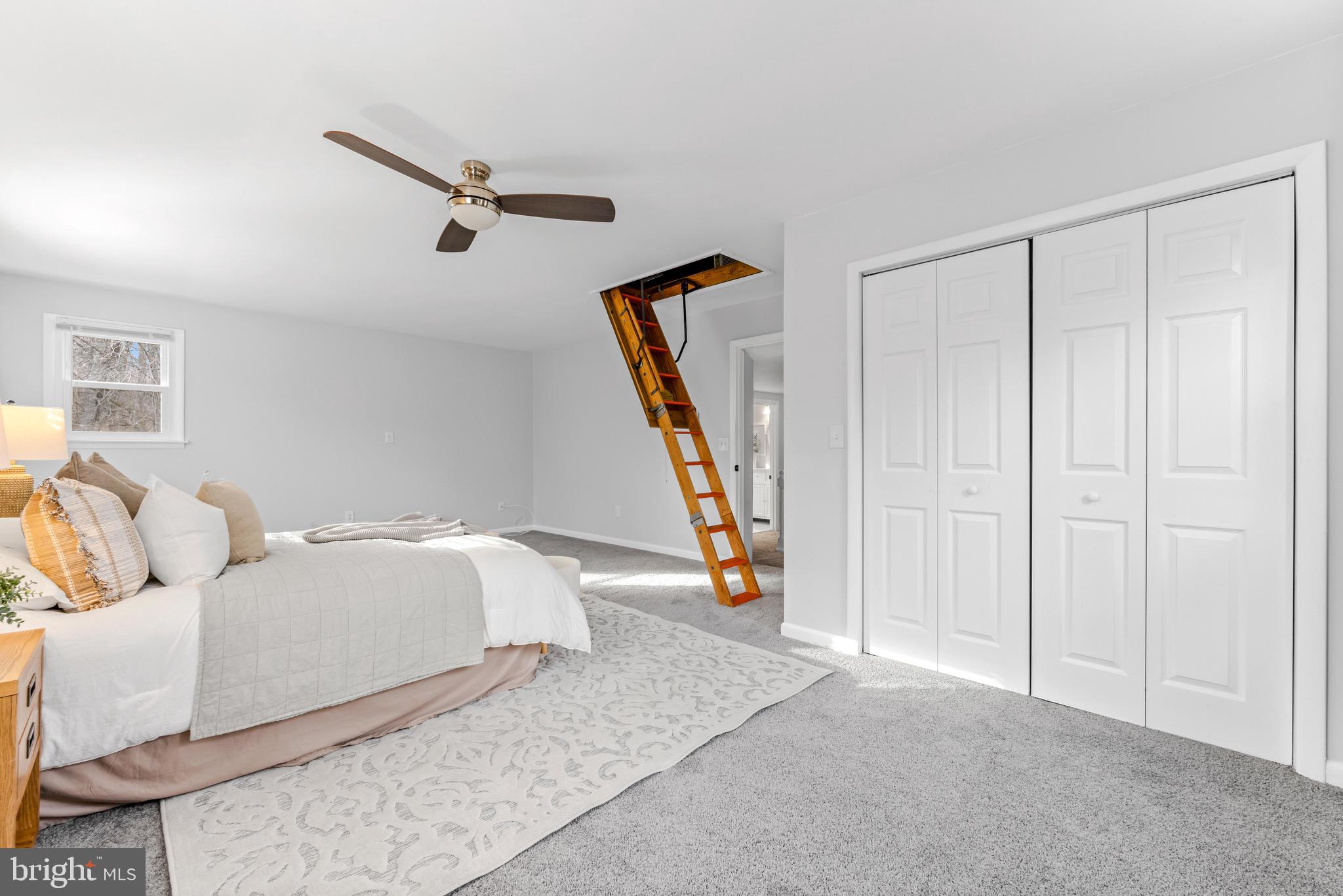 WEBSTER VILLAGE - Residential