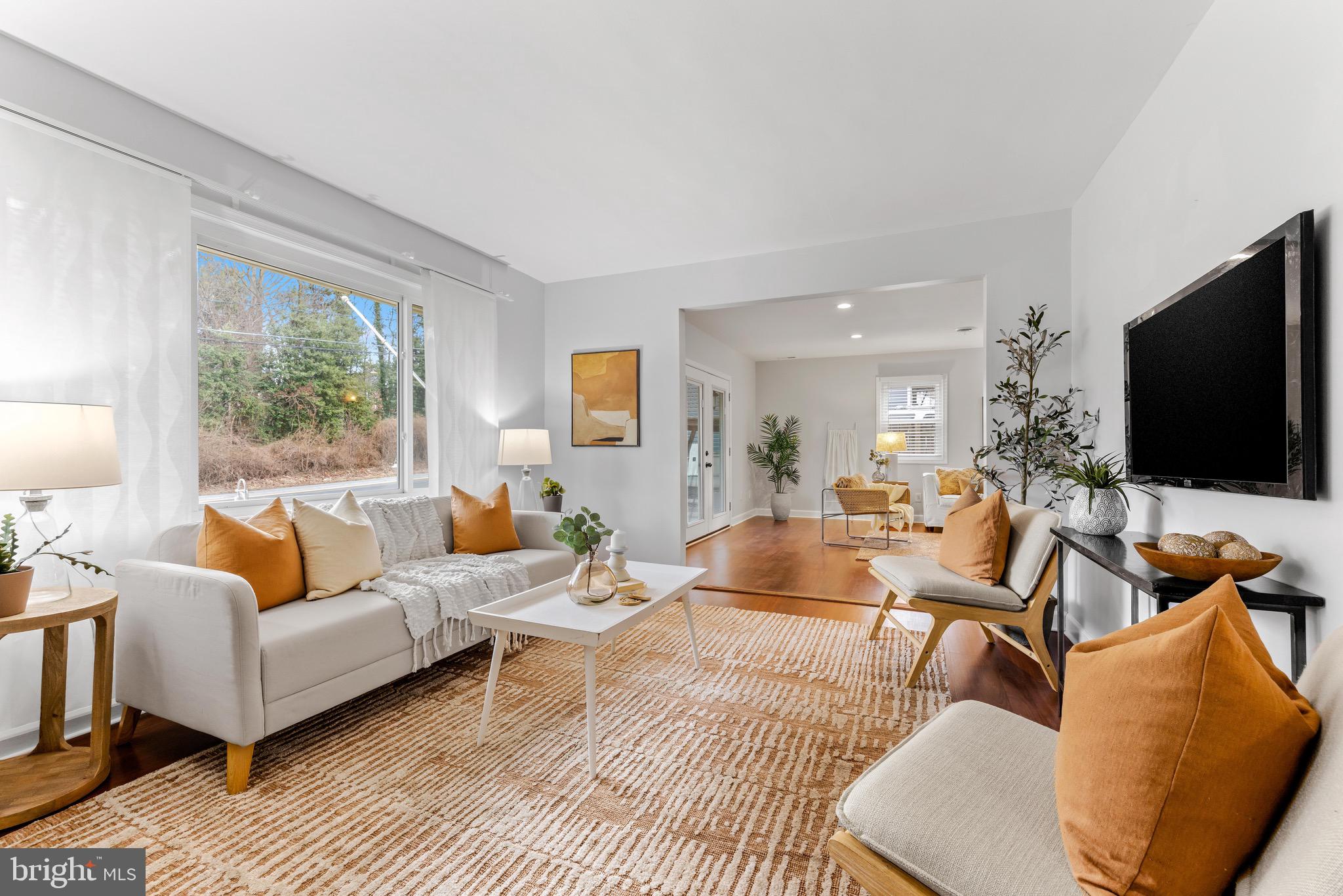 WEBSTER VILLAGE - Residential