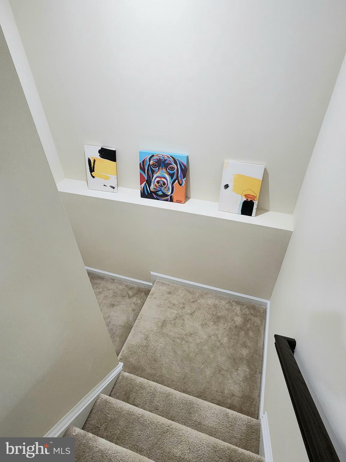 NORBORNE GLEBE - Residential