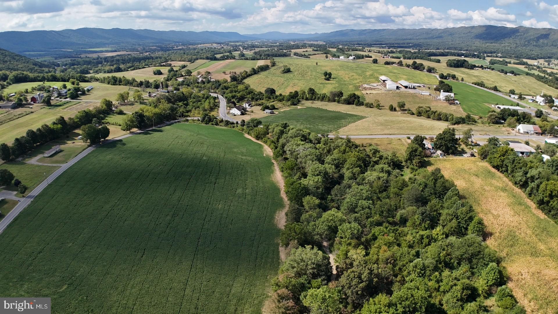 TRACT 2: 36.45± ACRES SPRING RUN RD