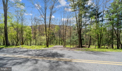 Vacant Land For Sale - 2490 Little Clearfield Creek Road<br/> OLANTA, PA 16863