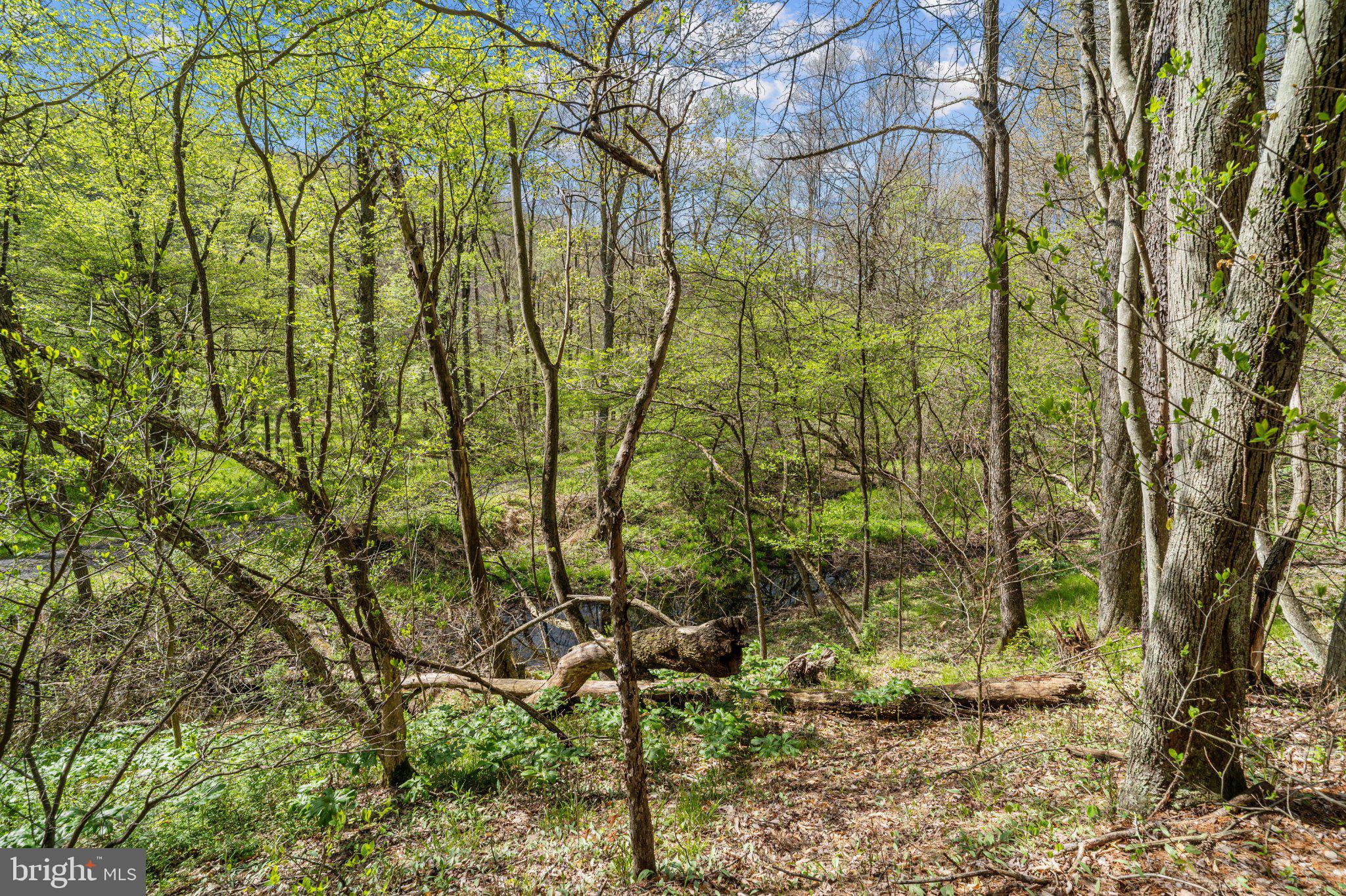2490 LITTLE CLEARFIELD CREEK ROAD