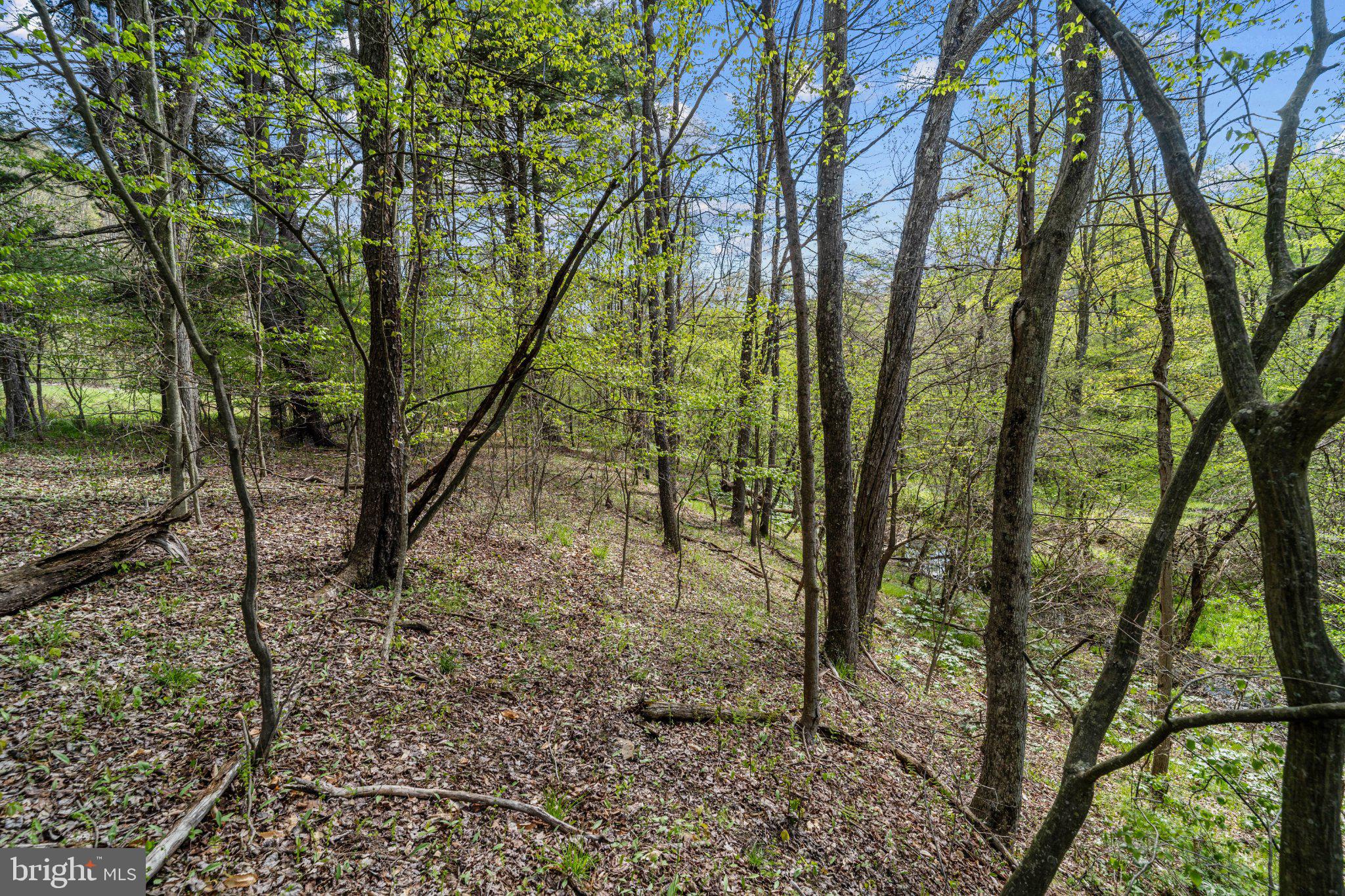 2490 LITTLE CLEARFIELD CREEK ROAD