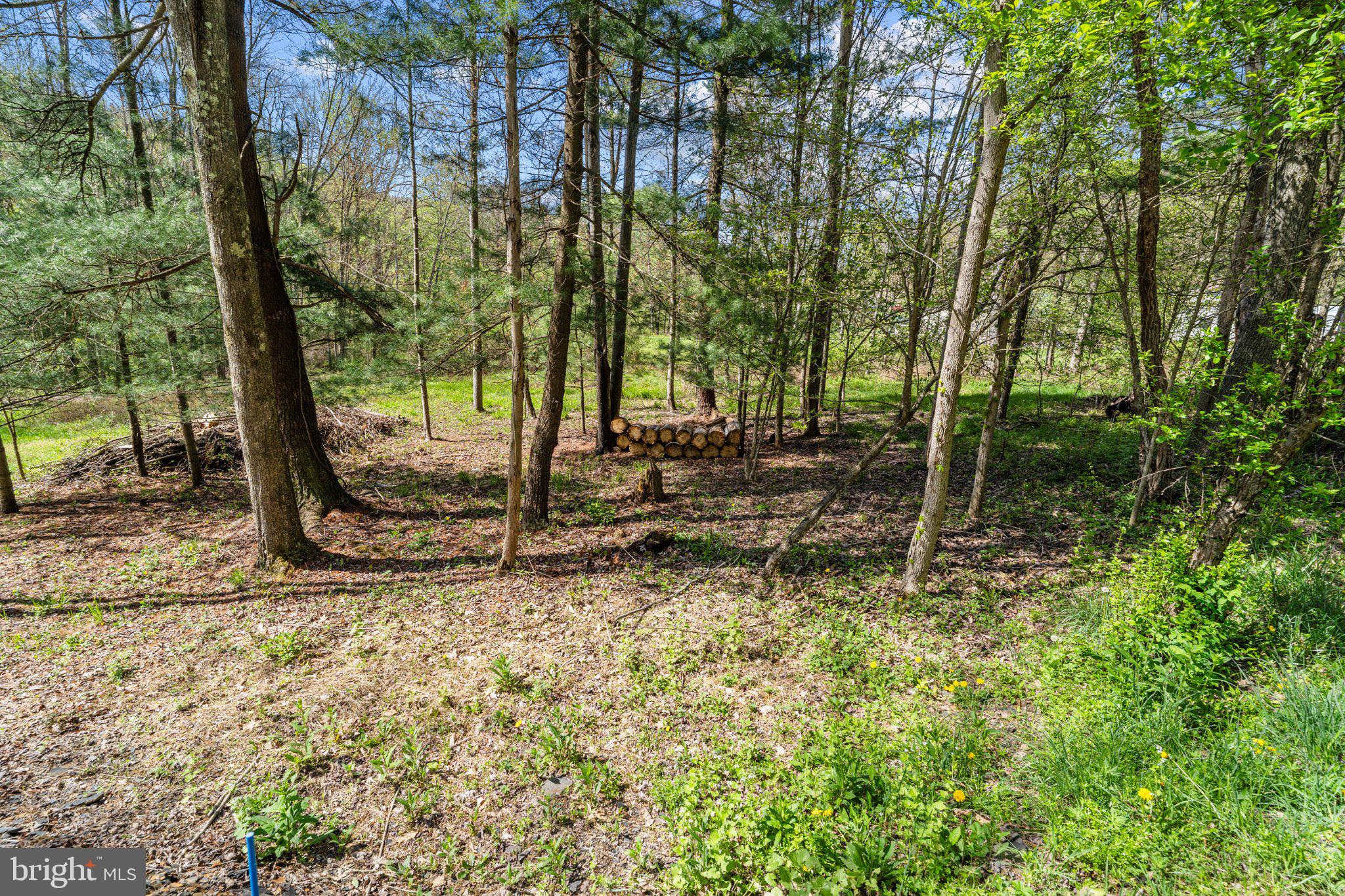 2490 LITTLE CLEARFIELD CREEK ROAD