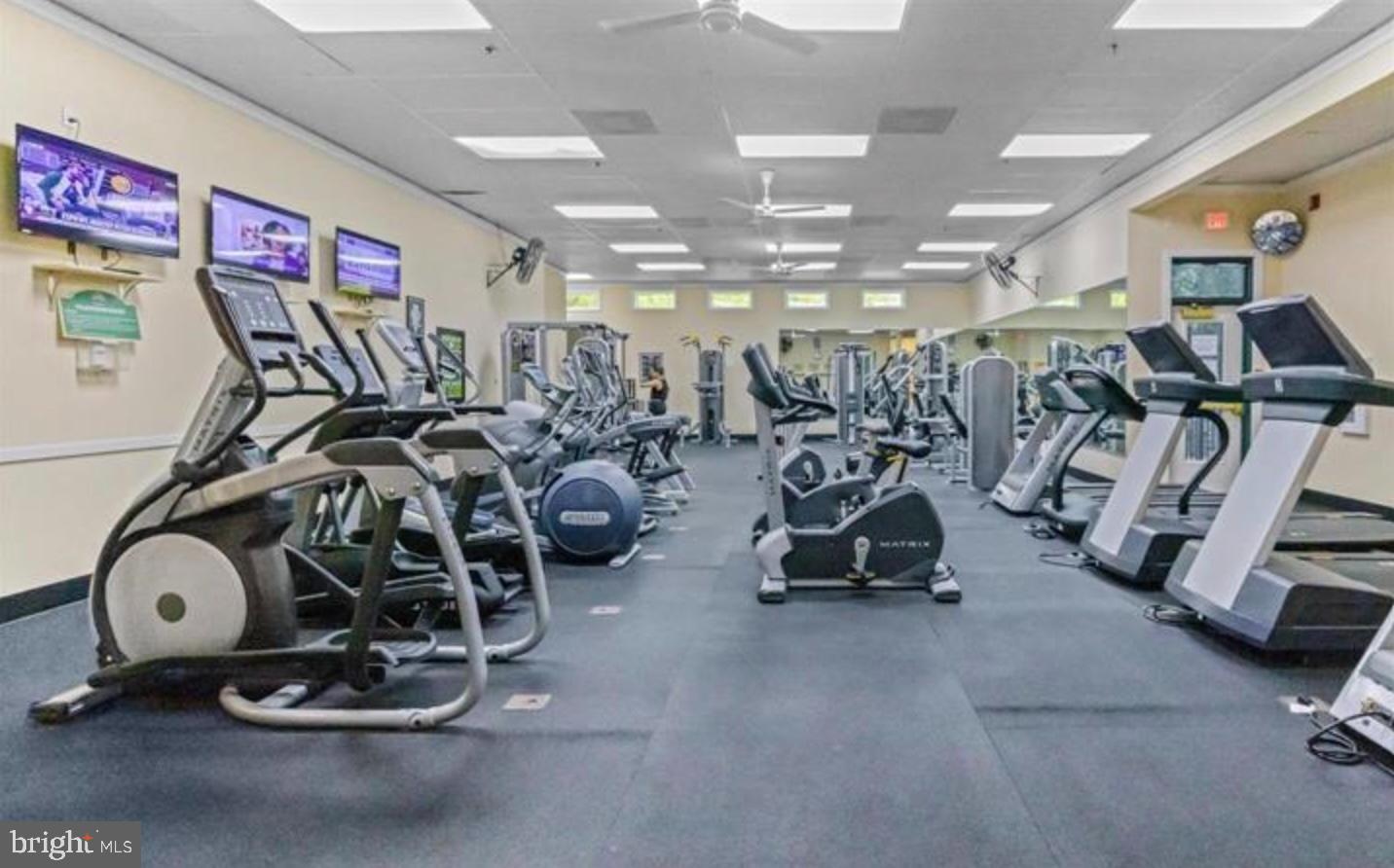 CHESTNUT POINT EAST - Residential