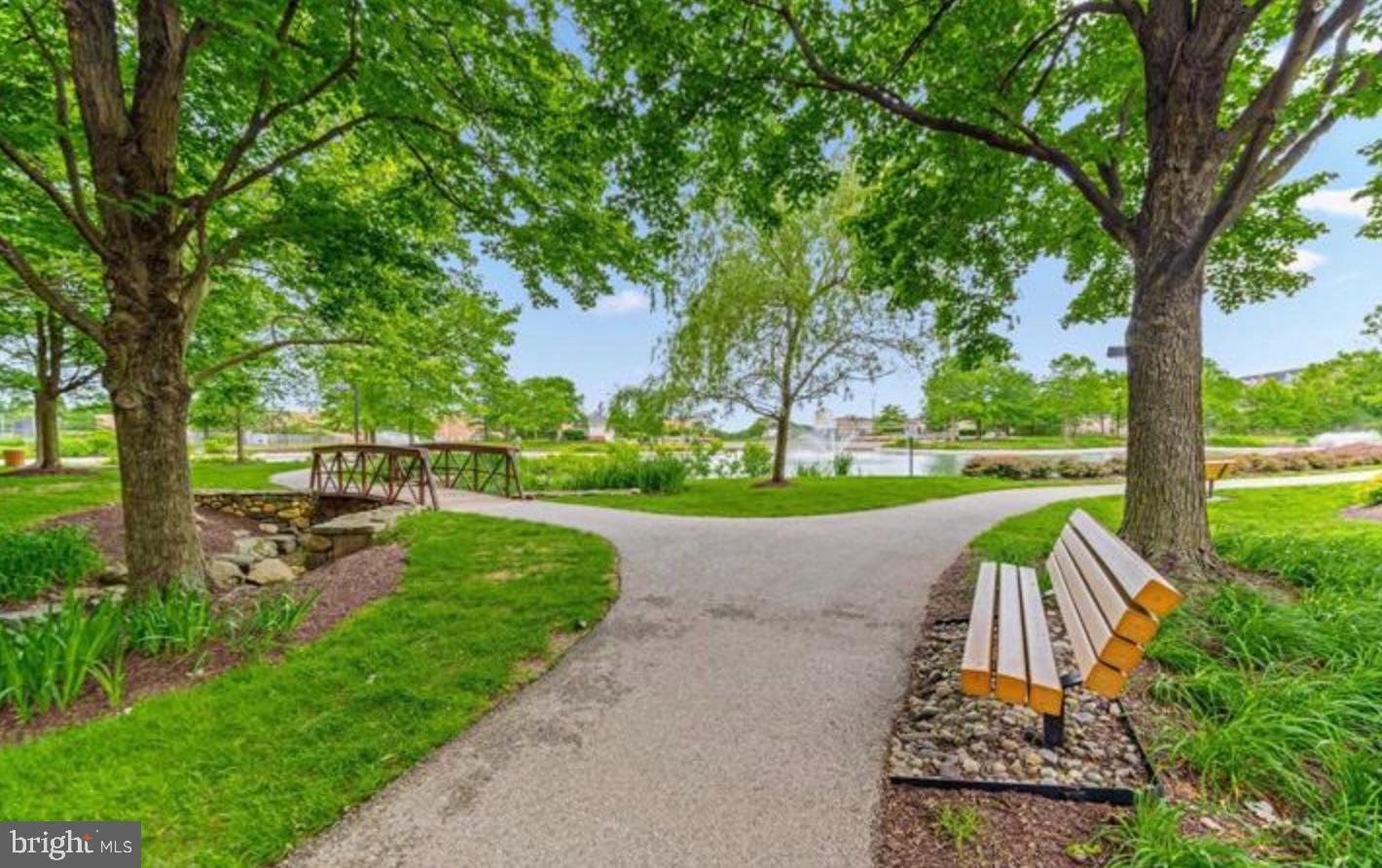 CHESTNUT POINT EAST - Residential