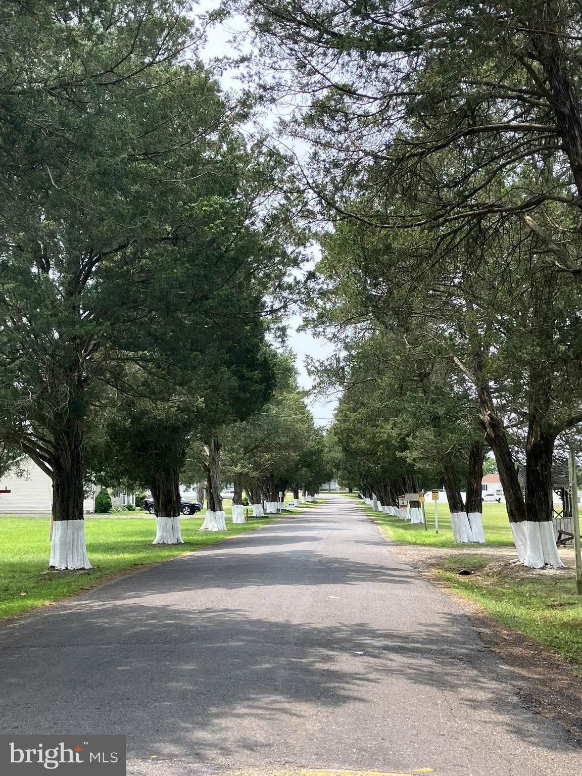 Bushwood, Maryland 20618, United States, ,Land,Active,157799