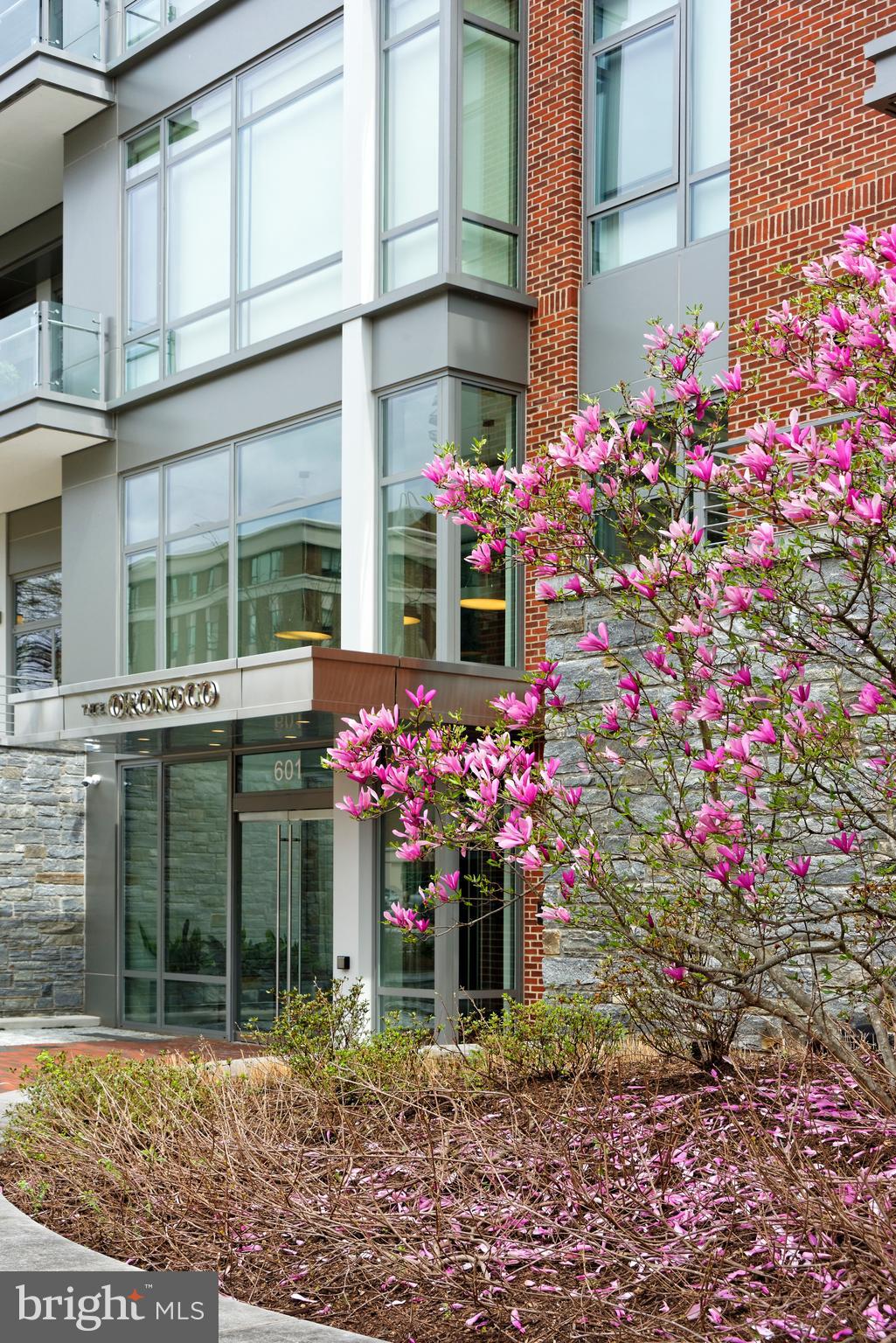 THE ORONOCO - Residential