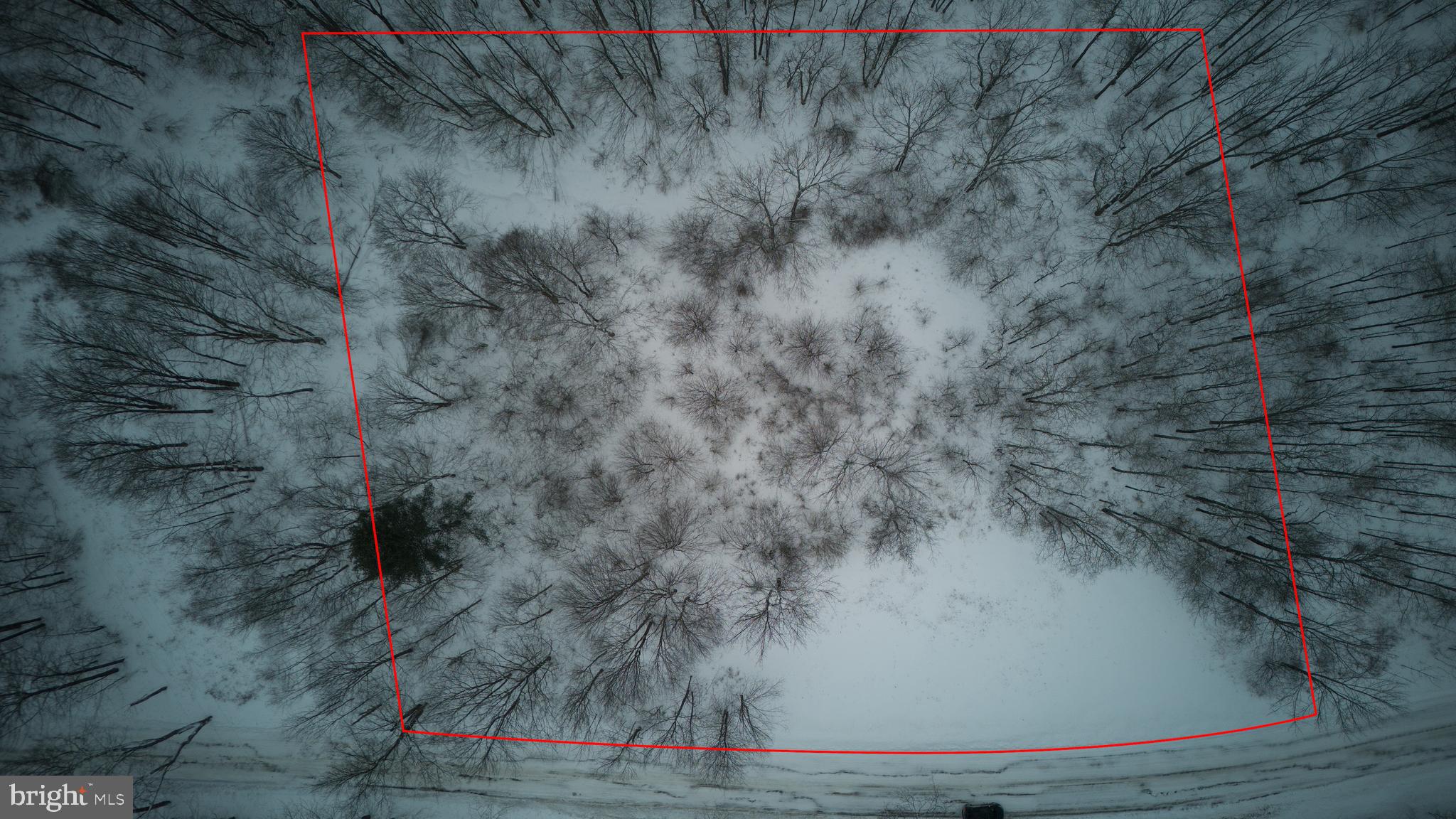 00 SHRAWDER MOUNTAIN ROAD