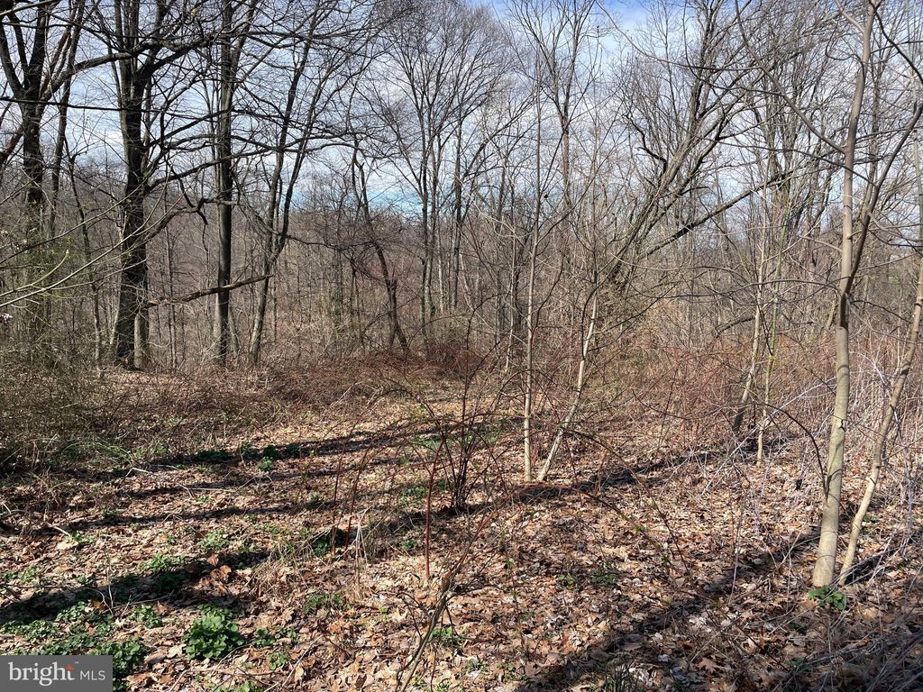 Photo of 1 Truce Road, New Providence, PA 17560 (MLS # PALA2049586)