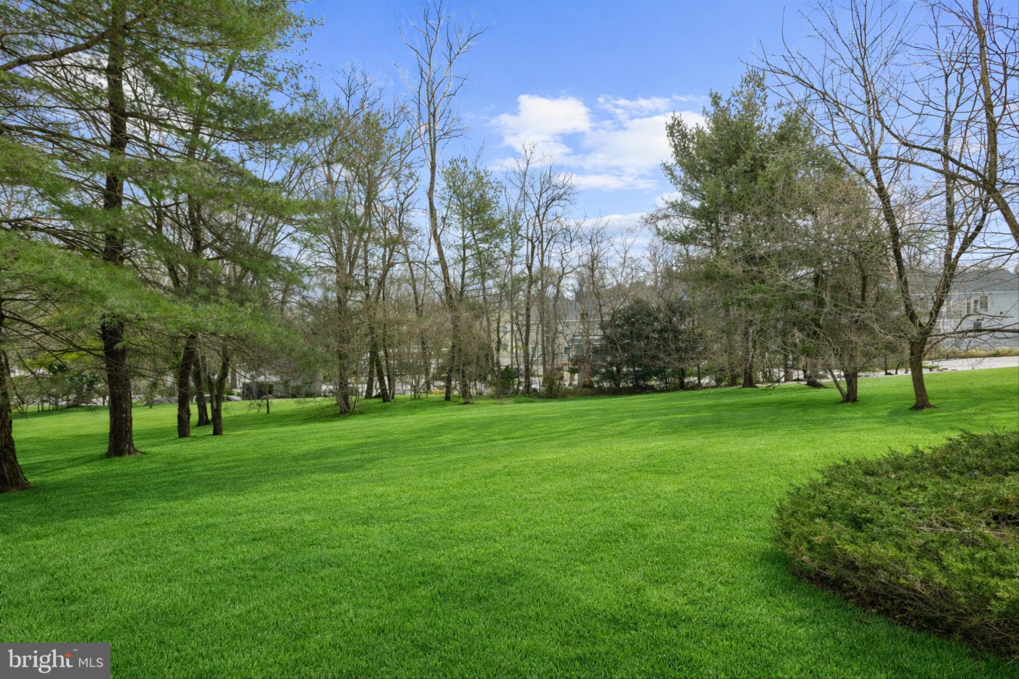 THE BIRCHES - Residential