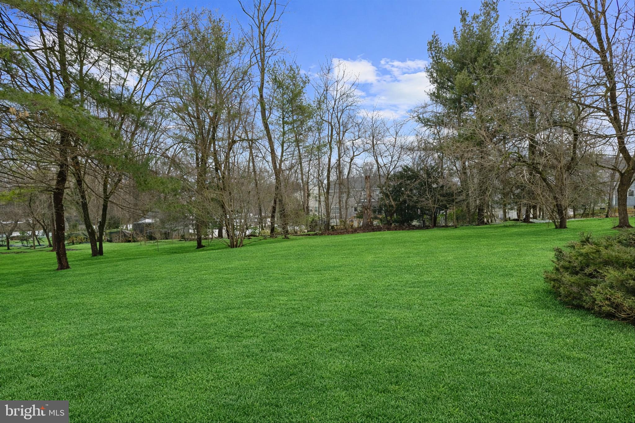 THE BIRCHES - Residential