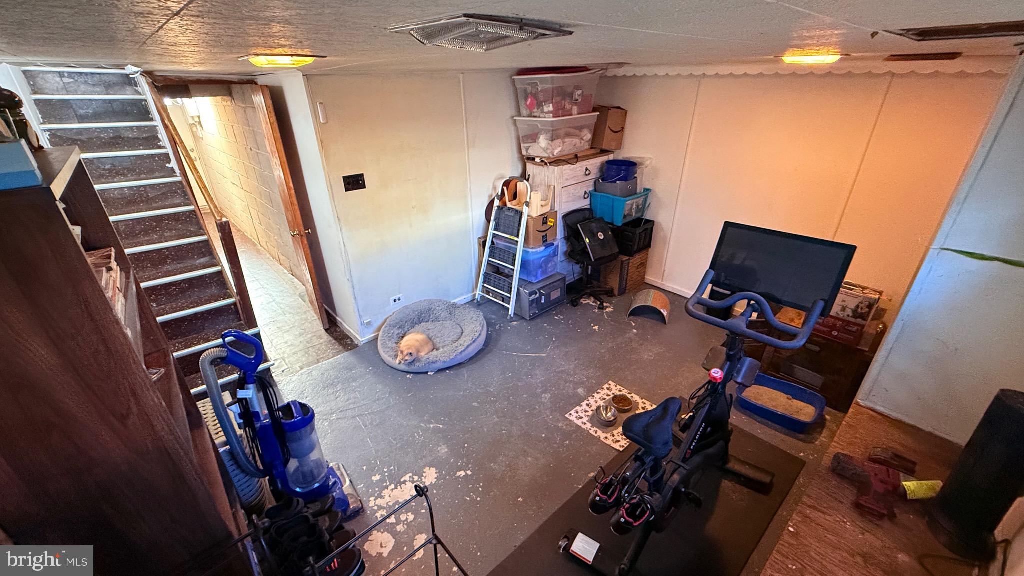 OXFORD CIRCLE - Residential