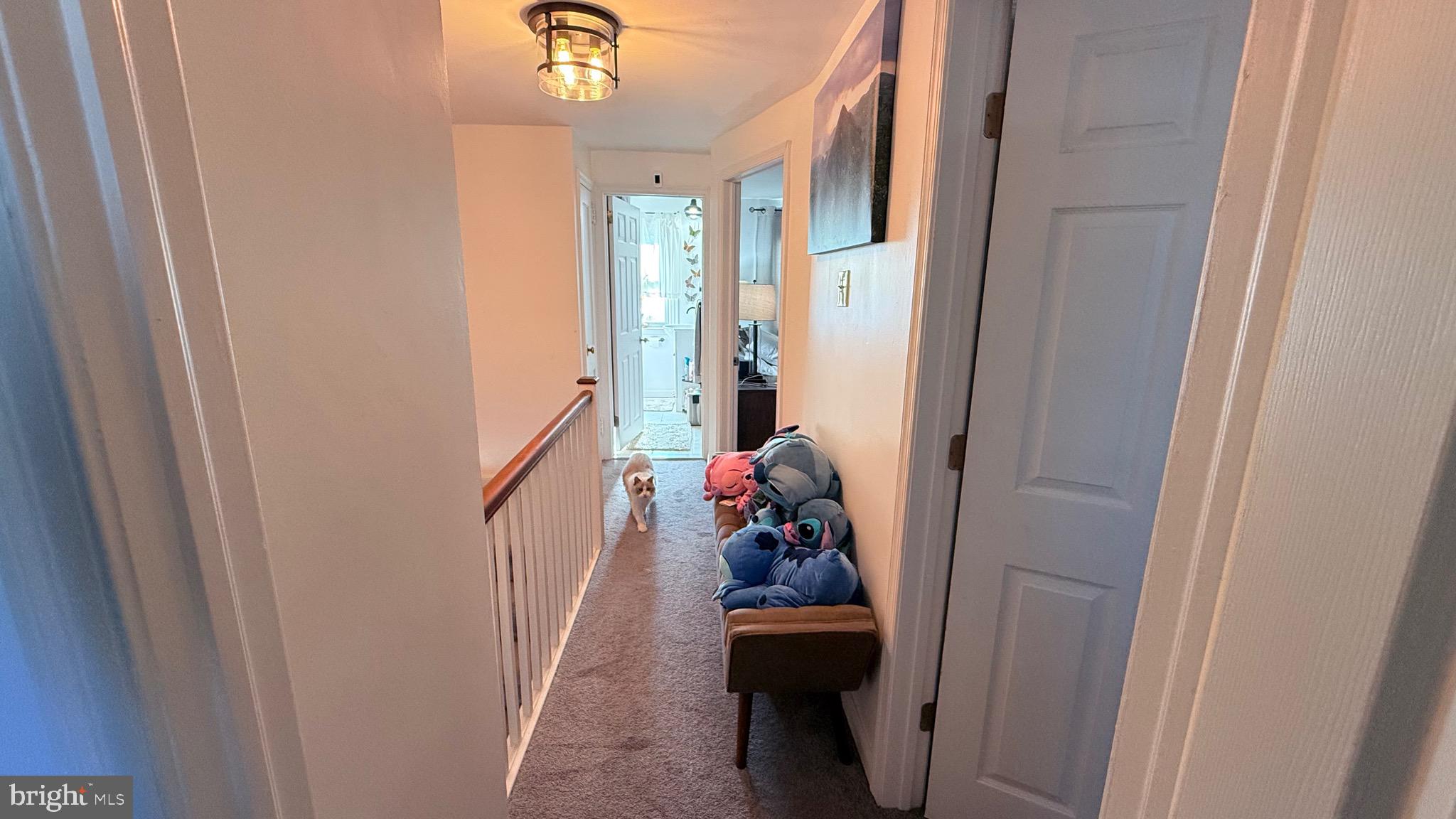 OXFORD CIRCLE - Residential