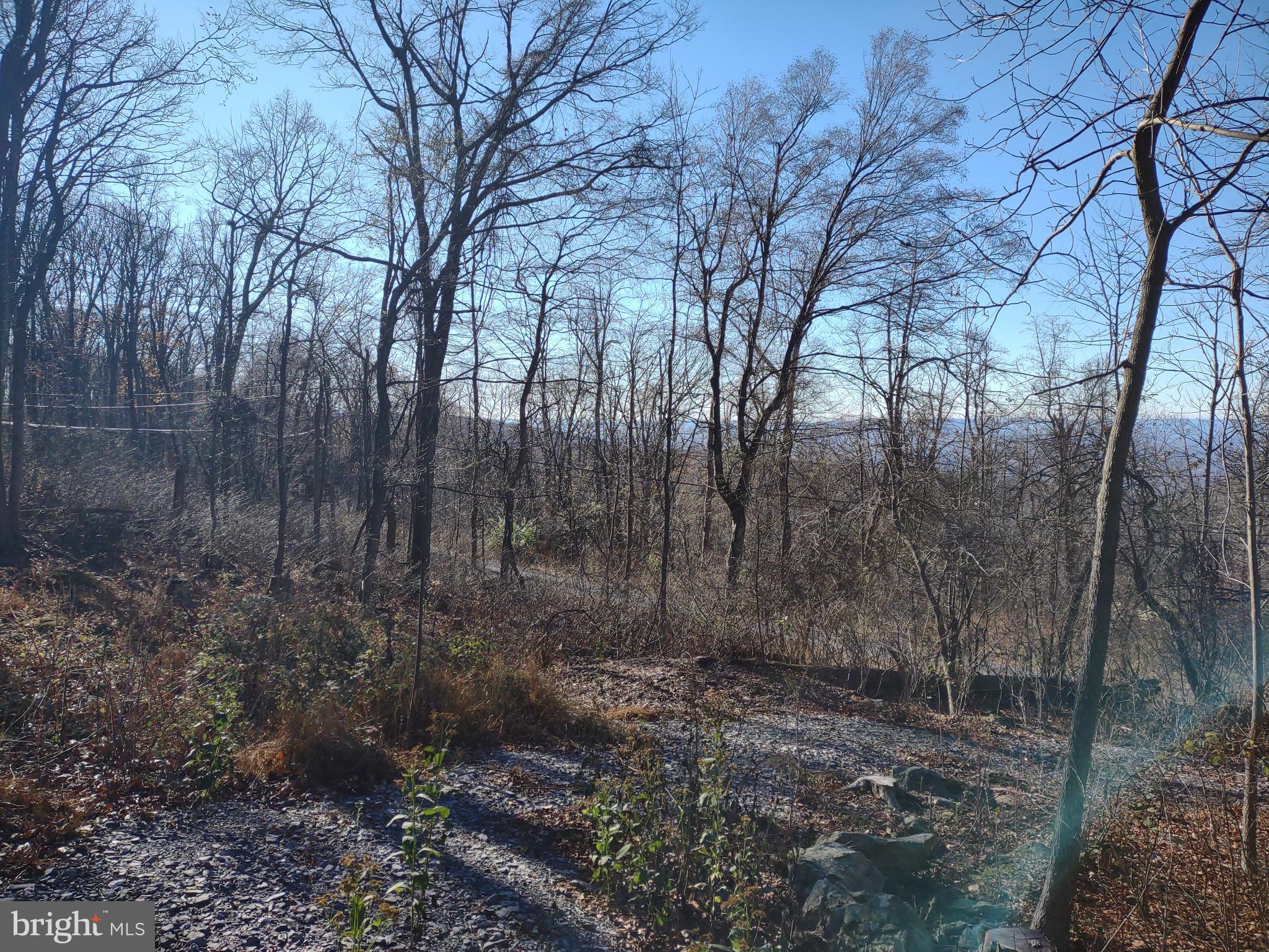 BLUE MOUNTAIN - Land