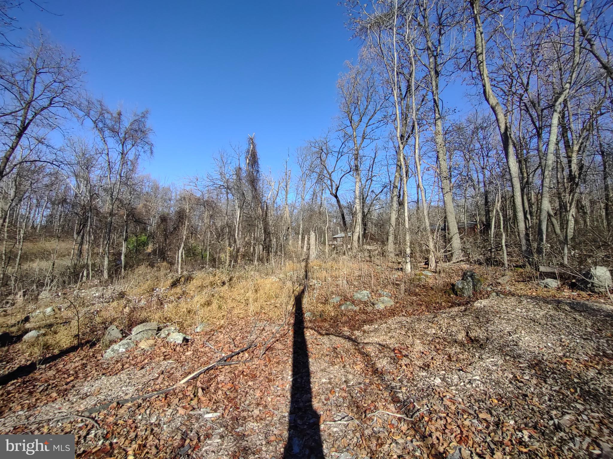 BLUE MOUNTAIN - Land