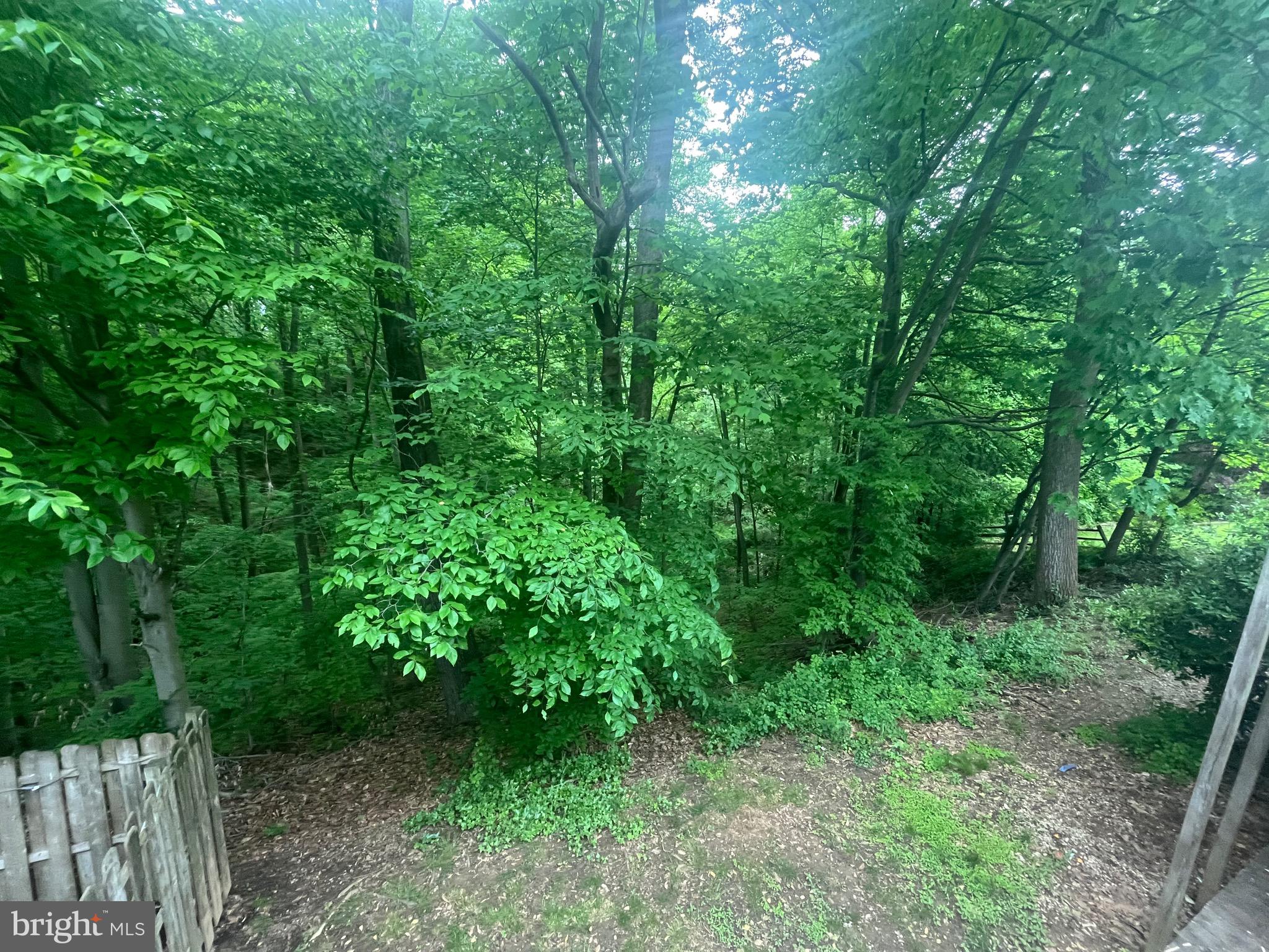 CONSTANT FRIENDSHIP - Residential Lease