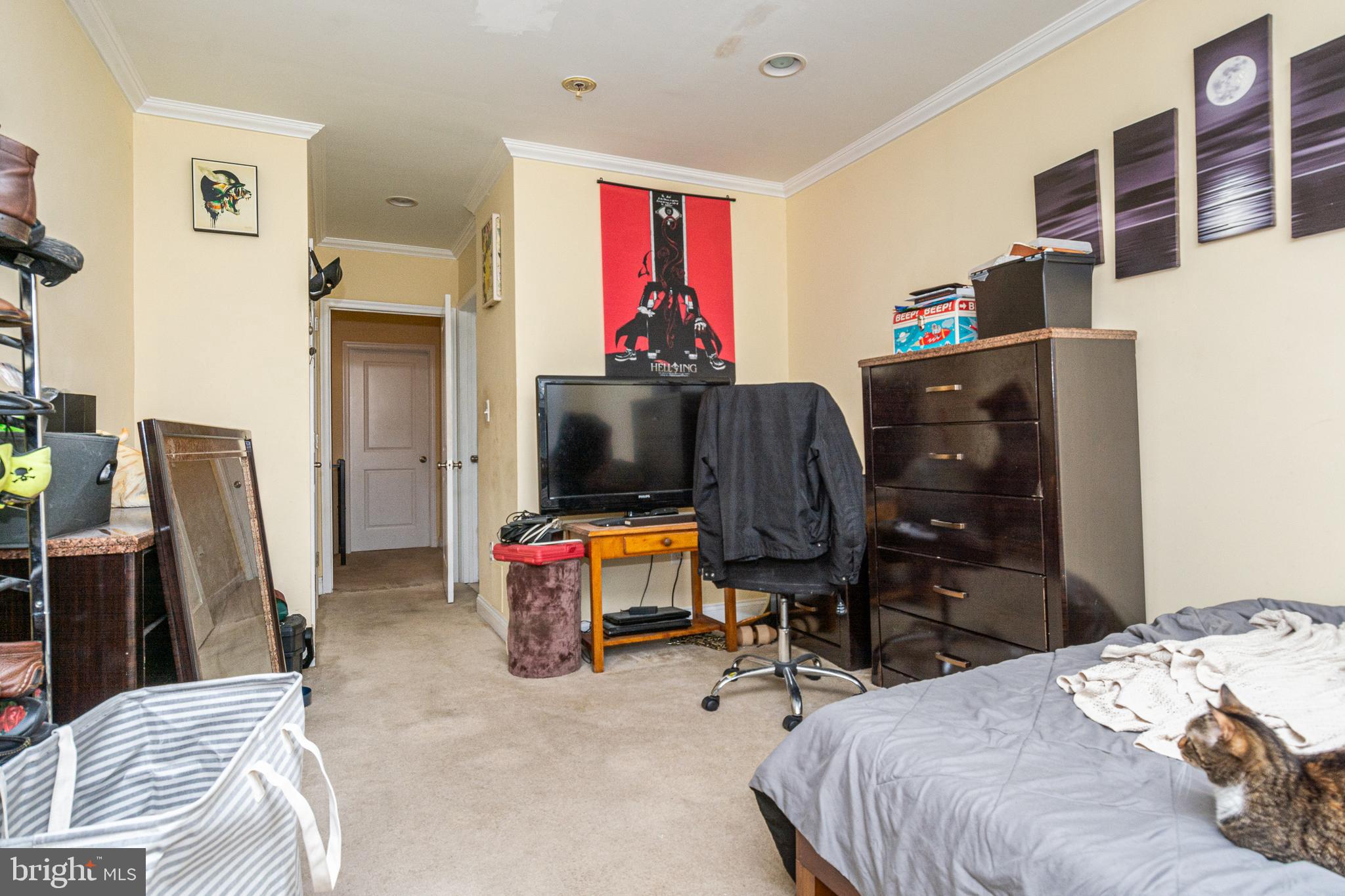 PATTERSON PARK - Residential