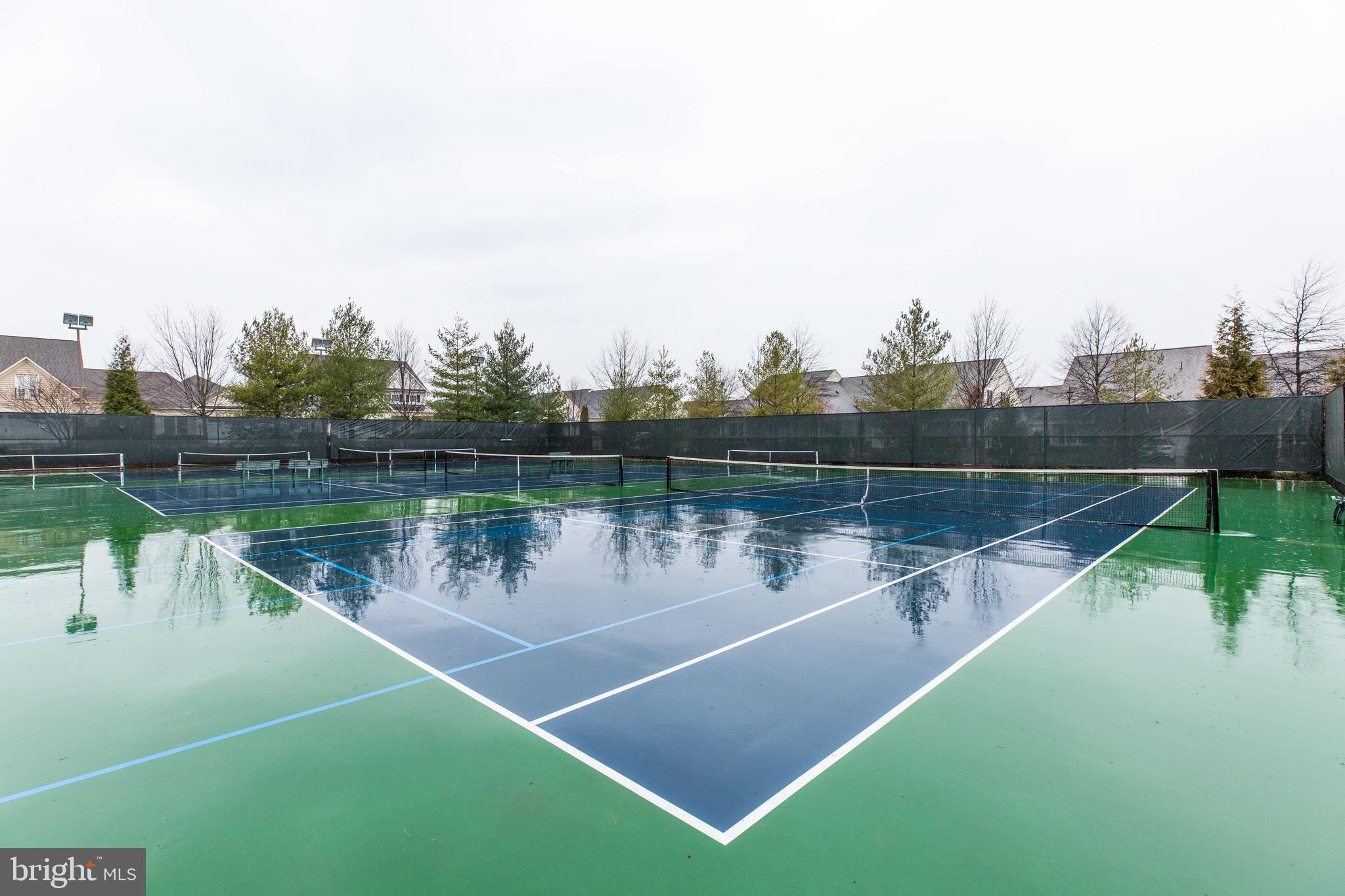 POTOMAC GREEN BY DEL WEBB - Residential