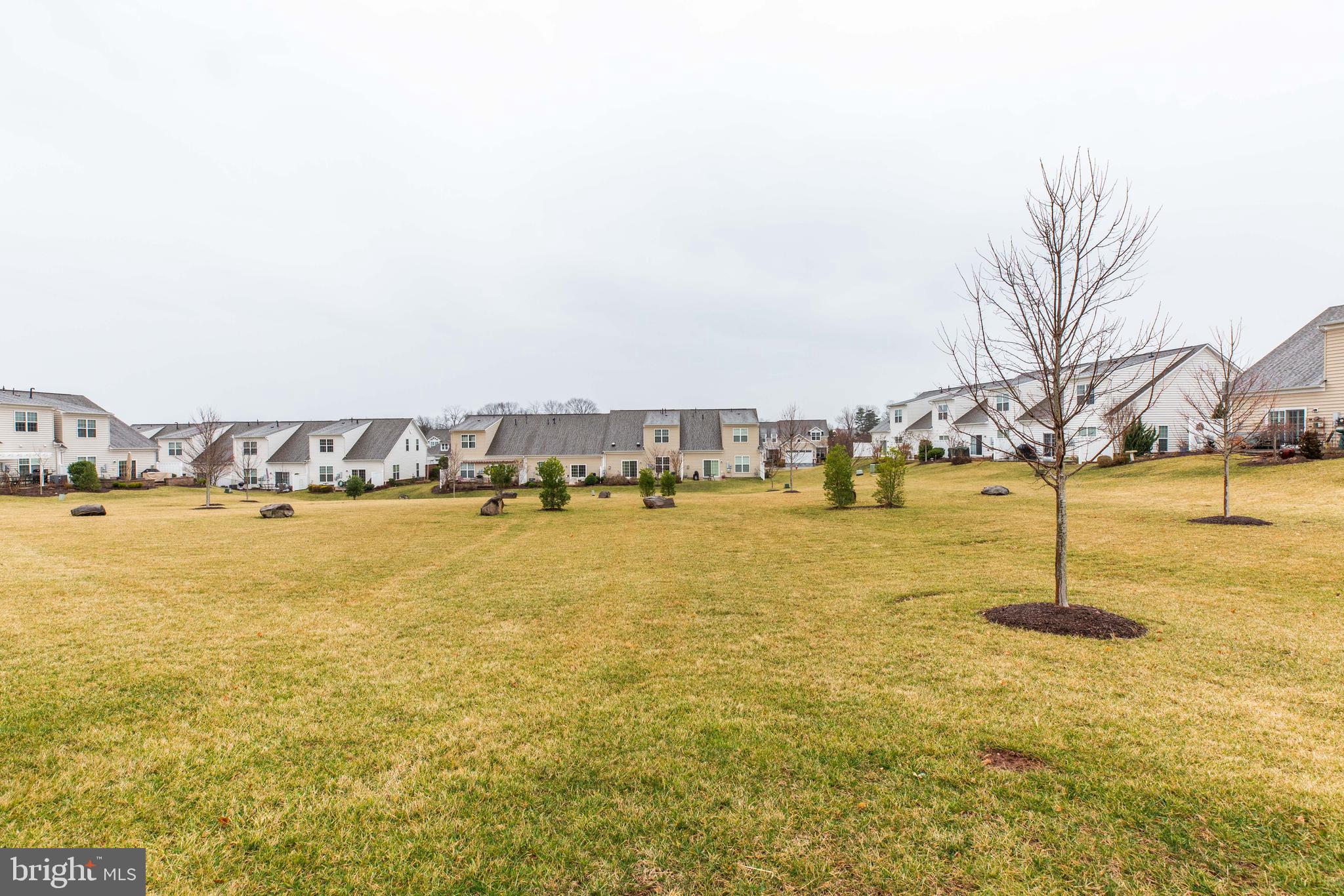 POTOMAC GREEN BY DEL WEBB - Residential