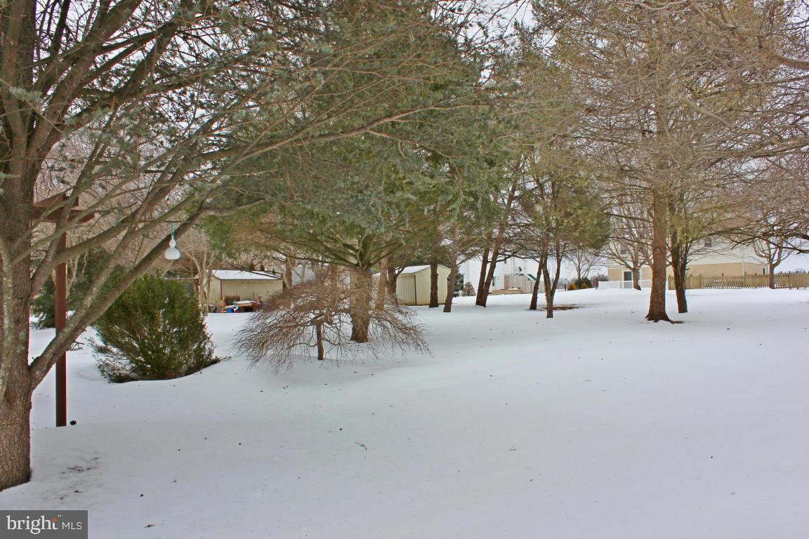 PINEWOOD ESTATES - Residential