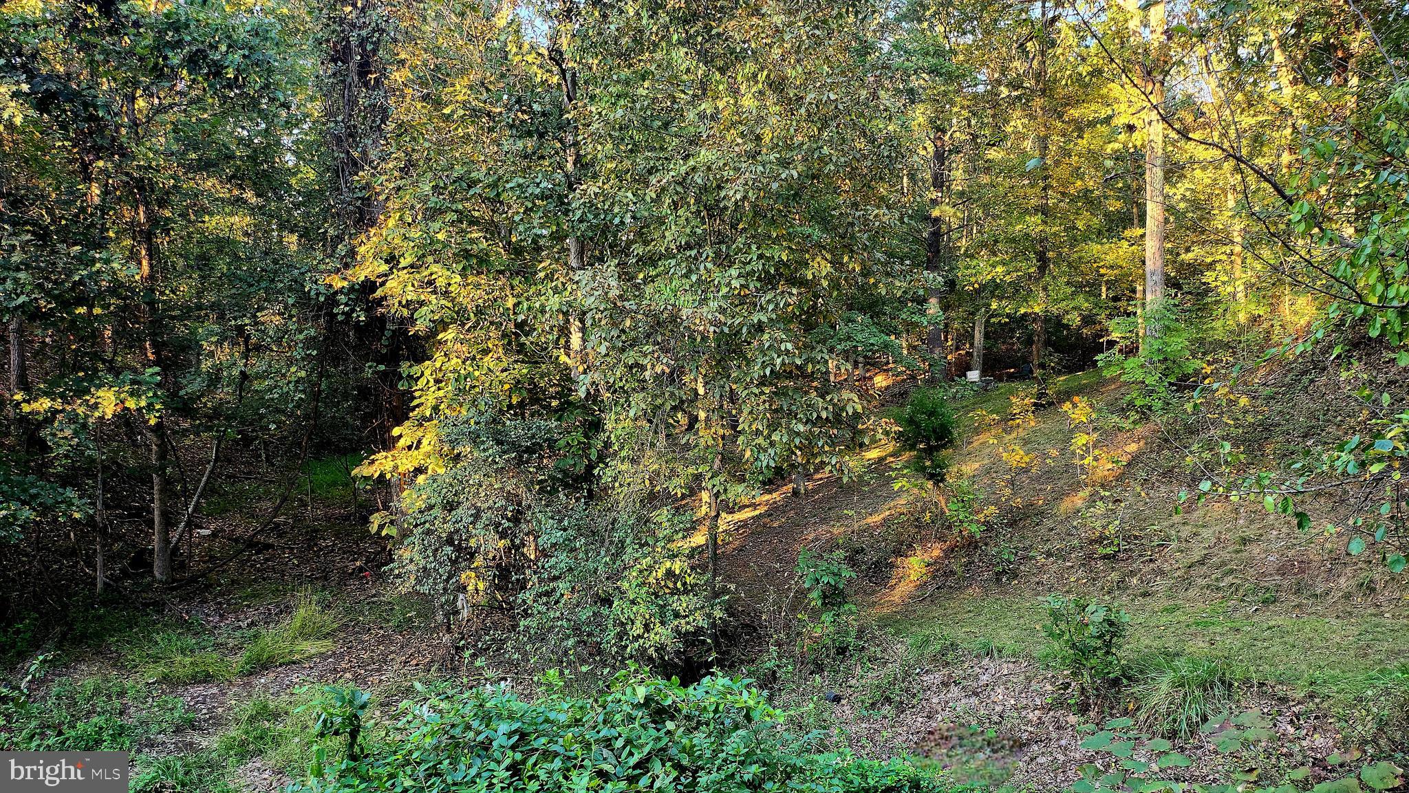 HEDGESVILLE - Residential