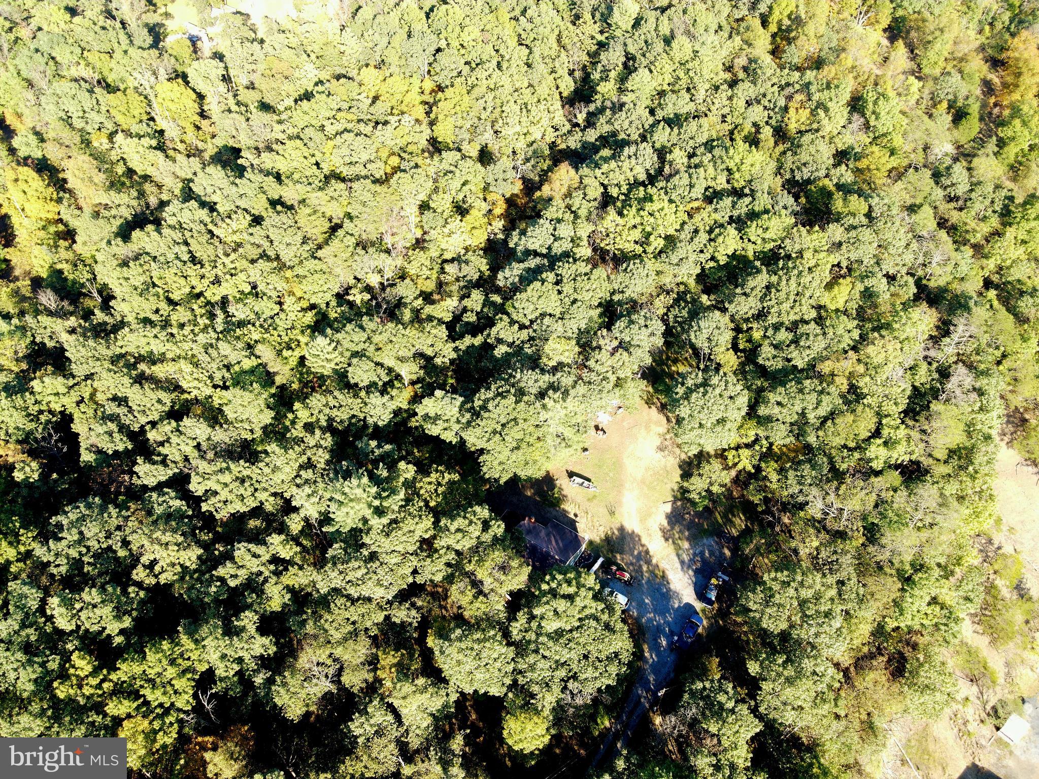 HEDGESVILLE - Residential