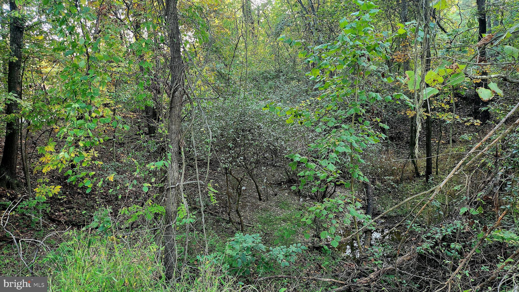 HEDGESVILLE - Residential