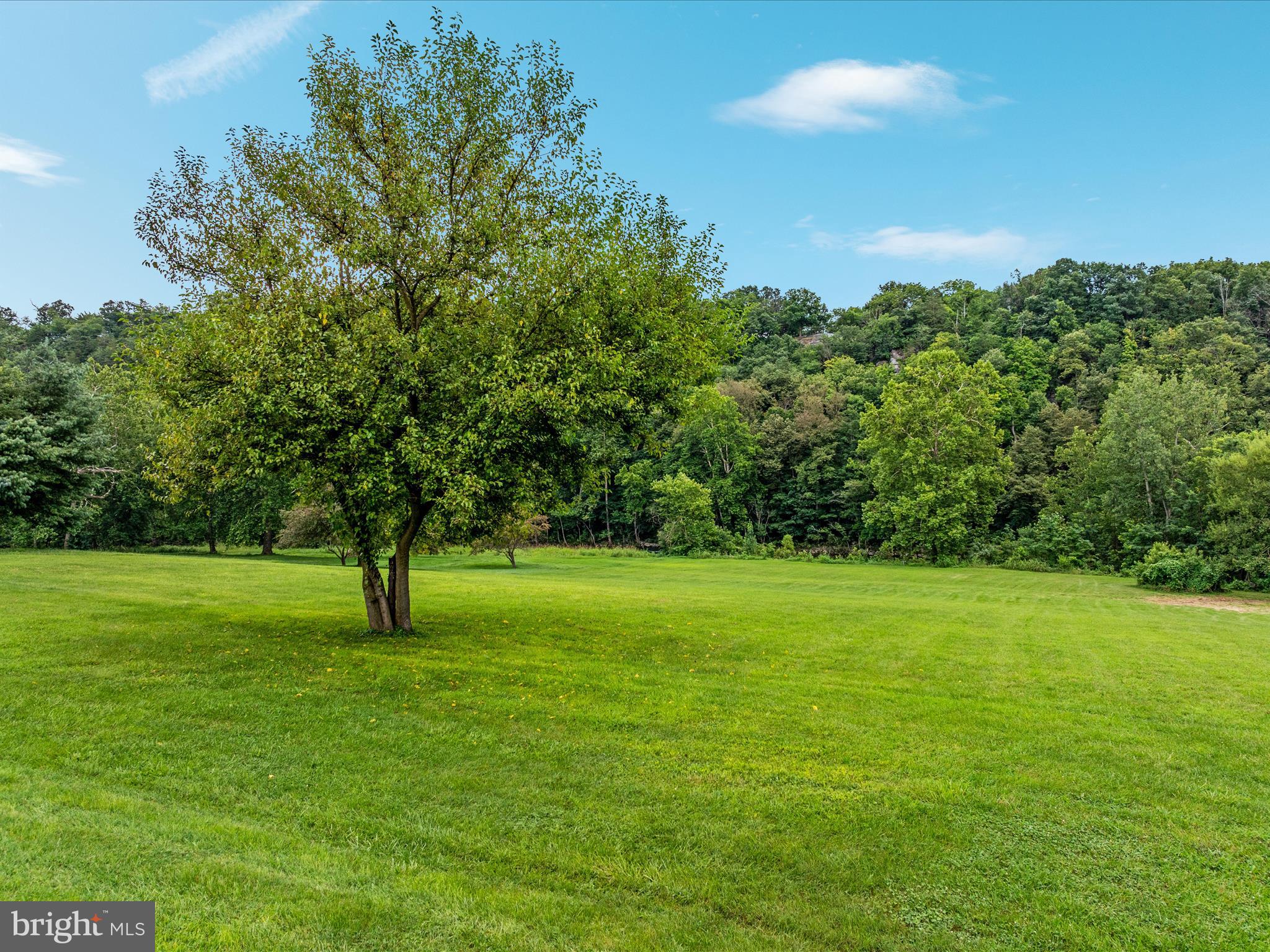 861 BATTLEFIELD BLUFF DRIVE