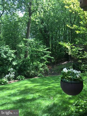 CHAIN BRIDGE FOREST - Residential