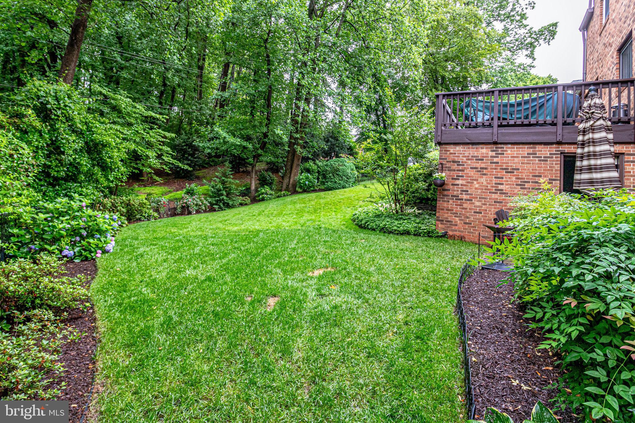 CHAIN BRIDGE FOREST - Residential