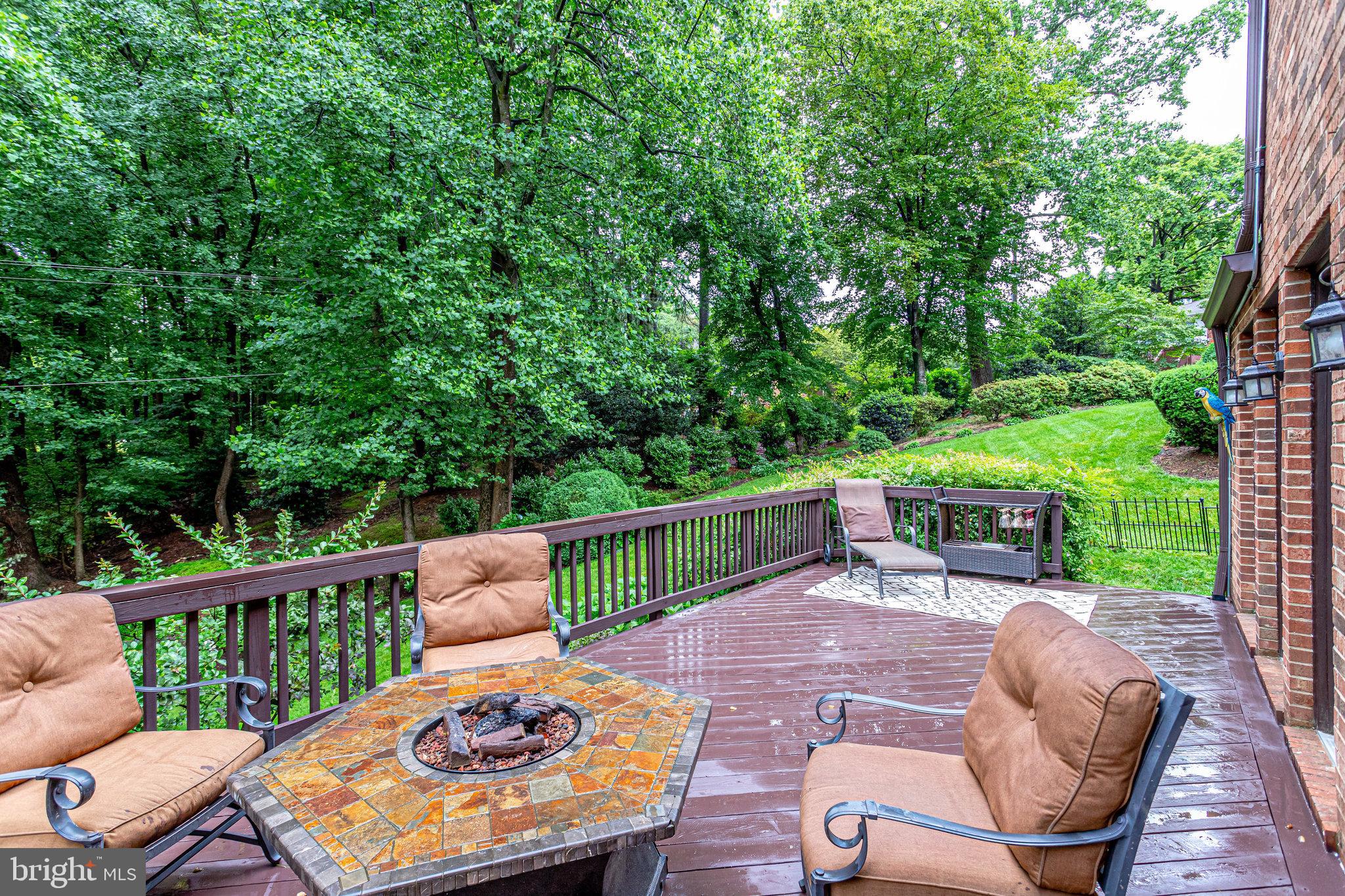 CHAIN BRIDGE FOREST - Residential