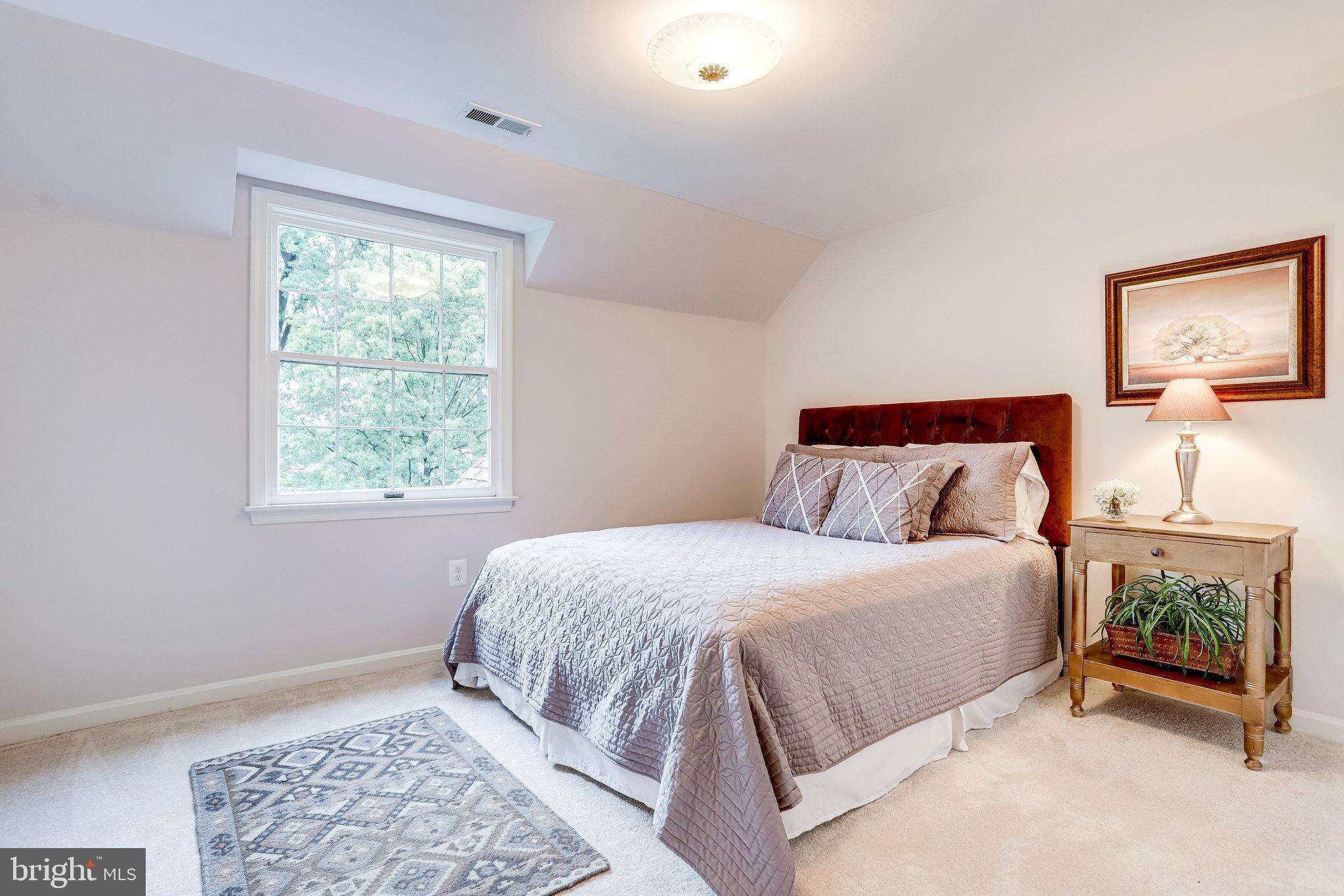 CHAIN BRIDGE FOREST - Residential