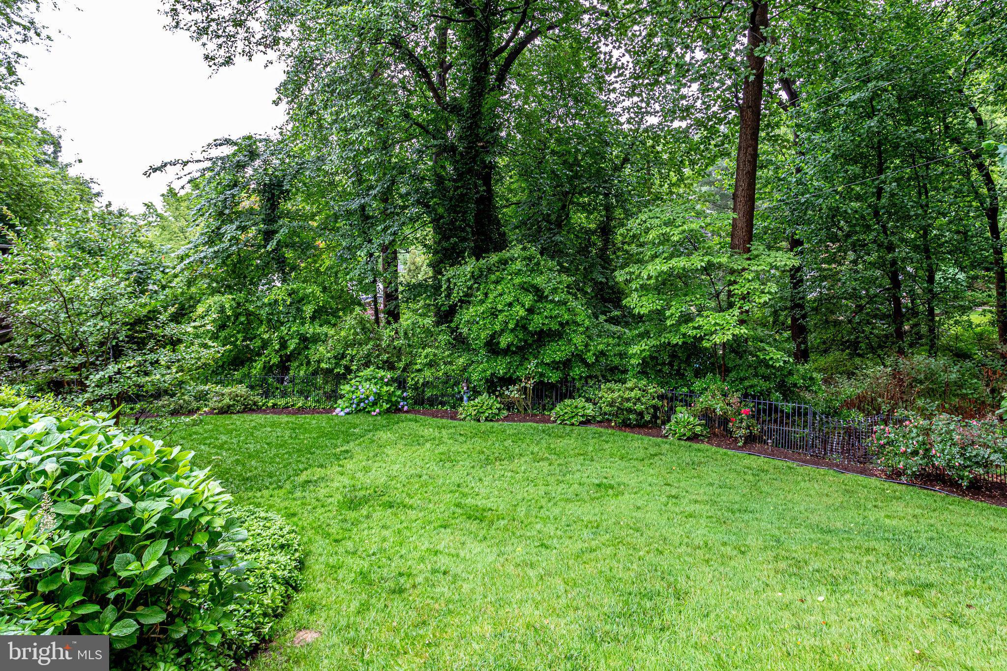 CHAIN BRIDGE FOREST - Residential