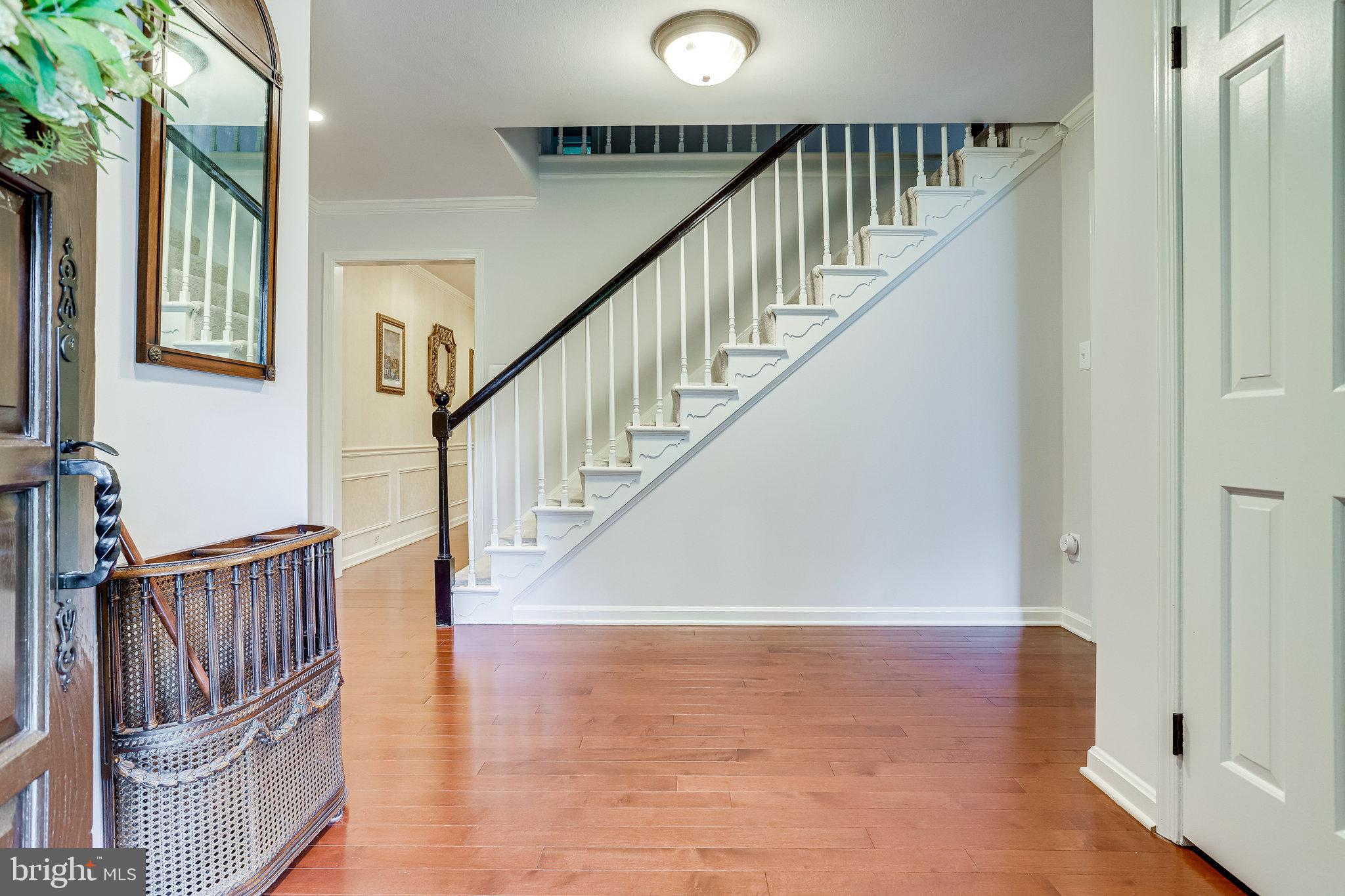 CHAIN BRIDGE FOREST - Residential