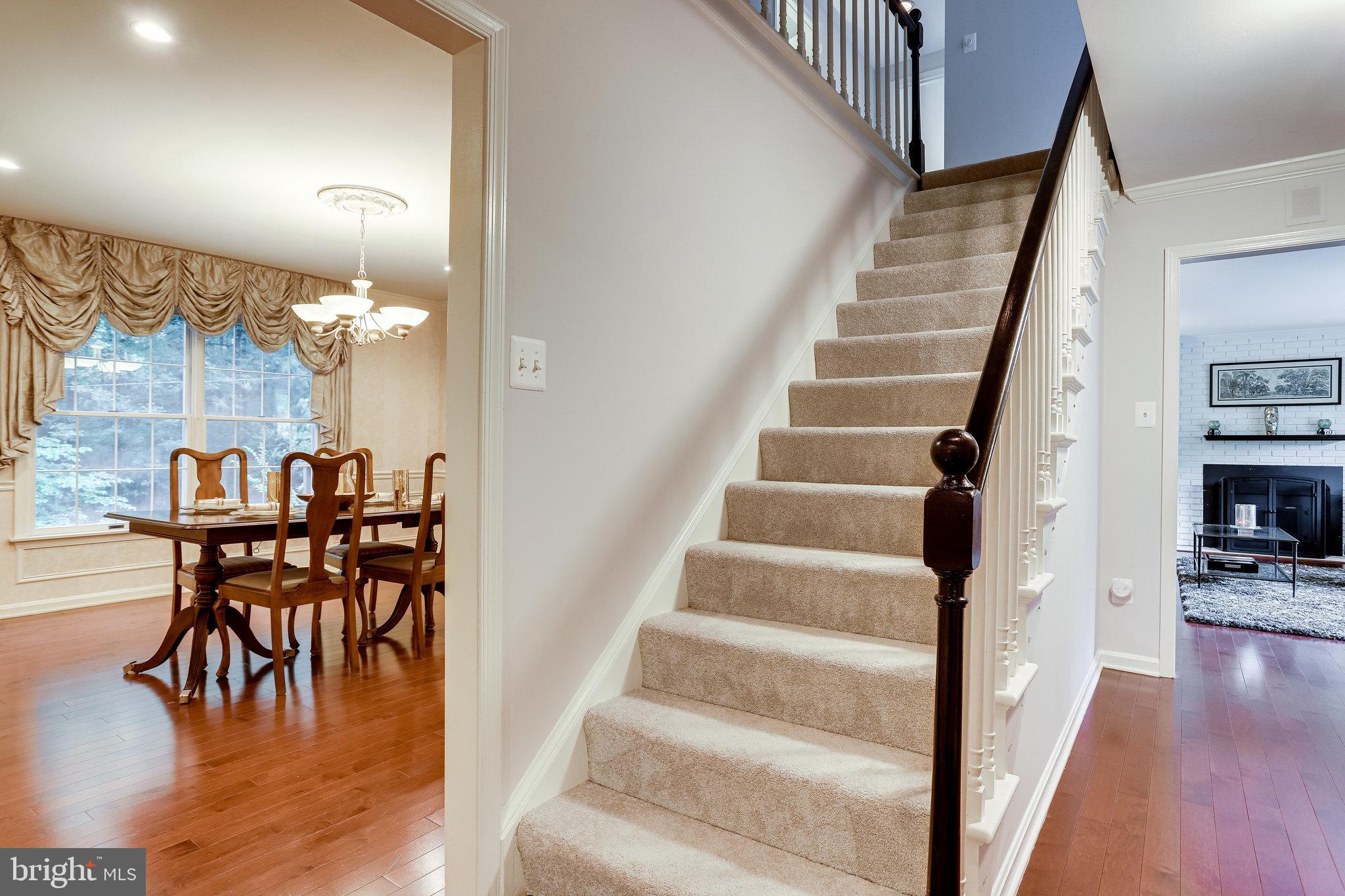 CHAIN BRIDGE FOREST - Residential