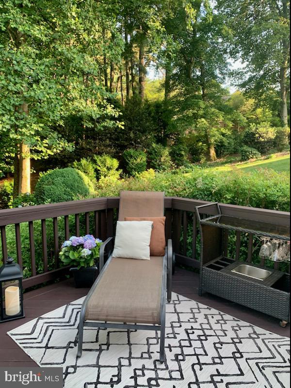 CHAIN BRIDGE FOREST - Residential