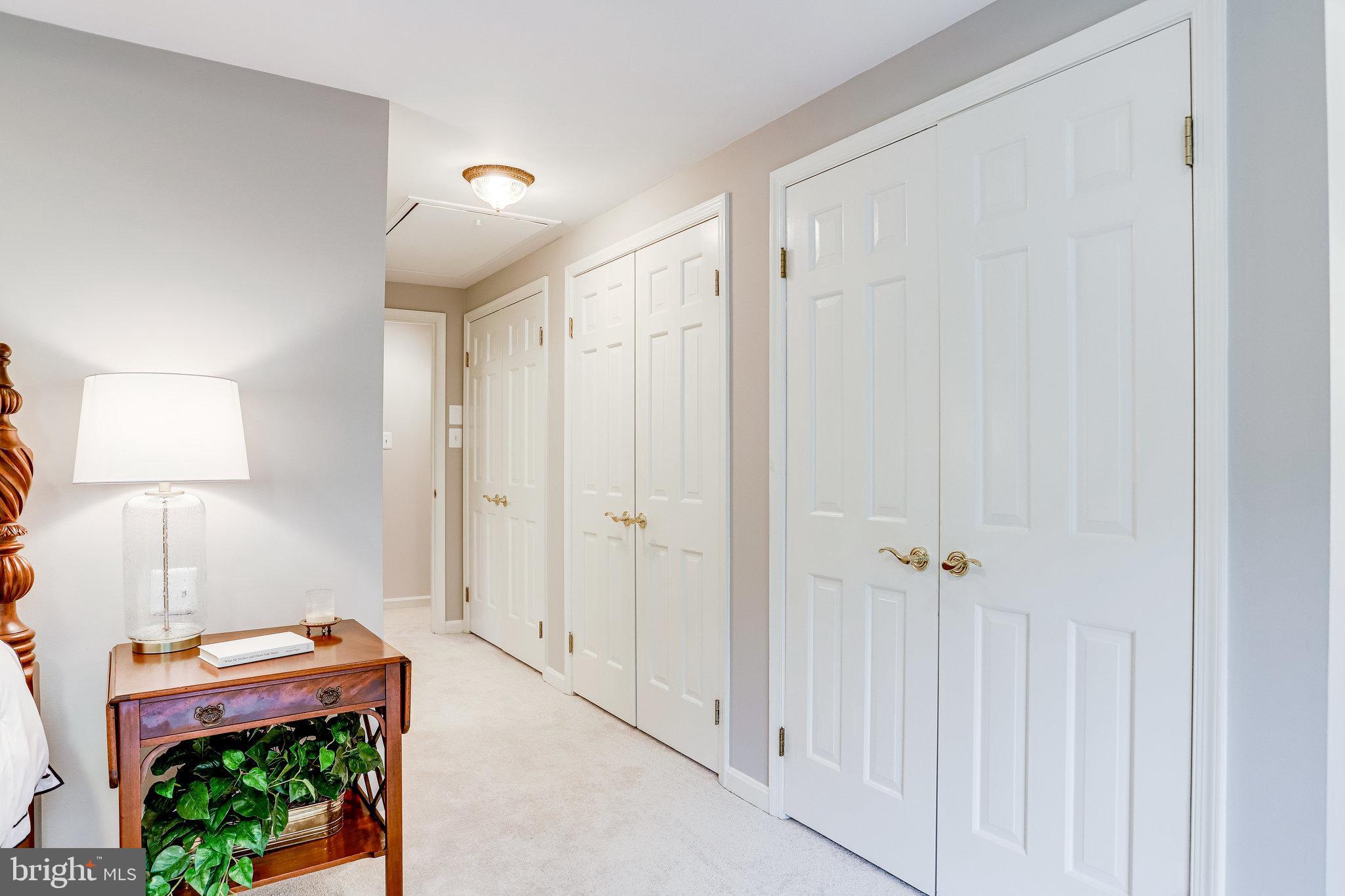 CHAIN BRIDGE FOREST - Residential