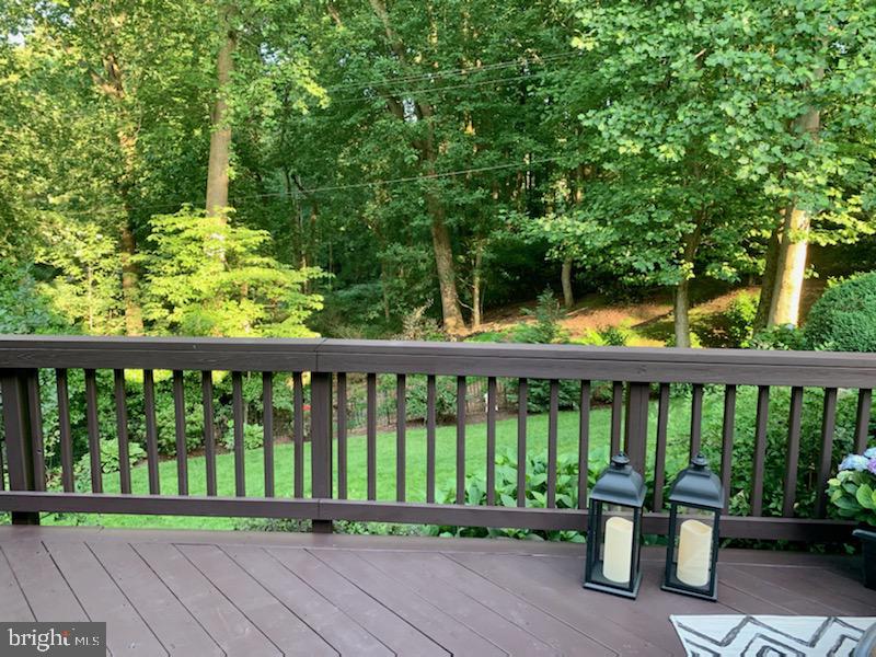 CHAIN BRIDGE FOREST - Residential