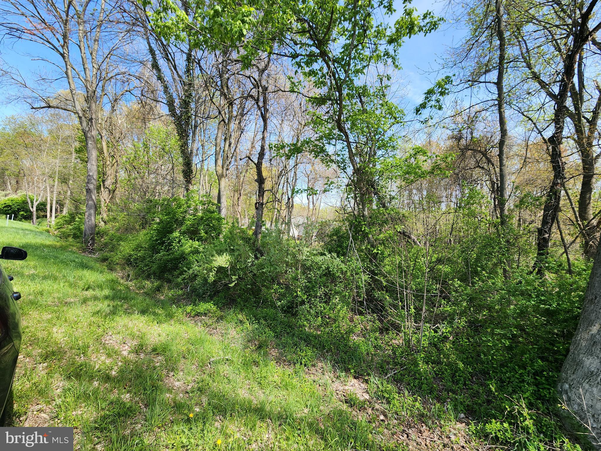 TOWHEE ROAD