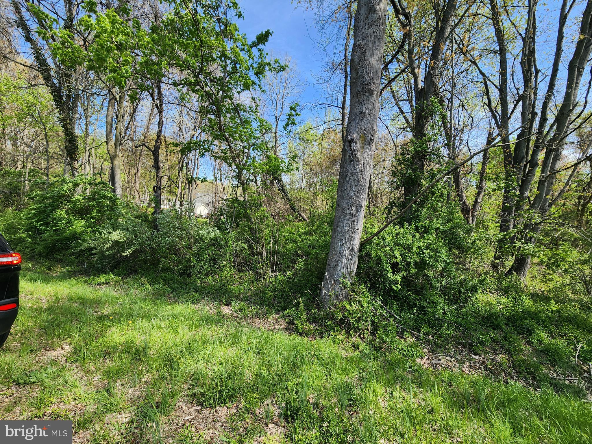 TOWHEE ROAD